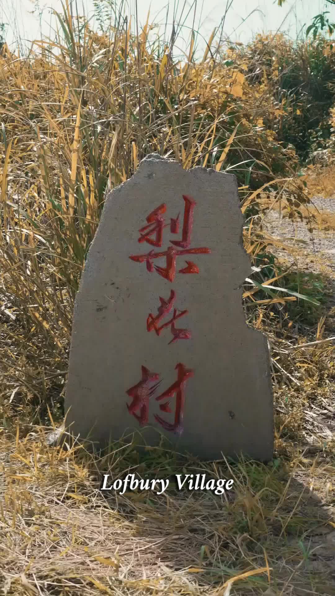 Ep 1
