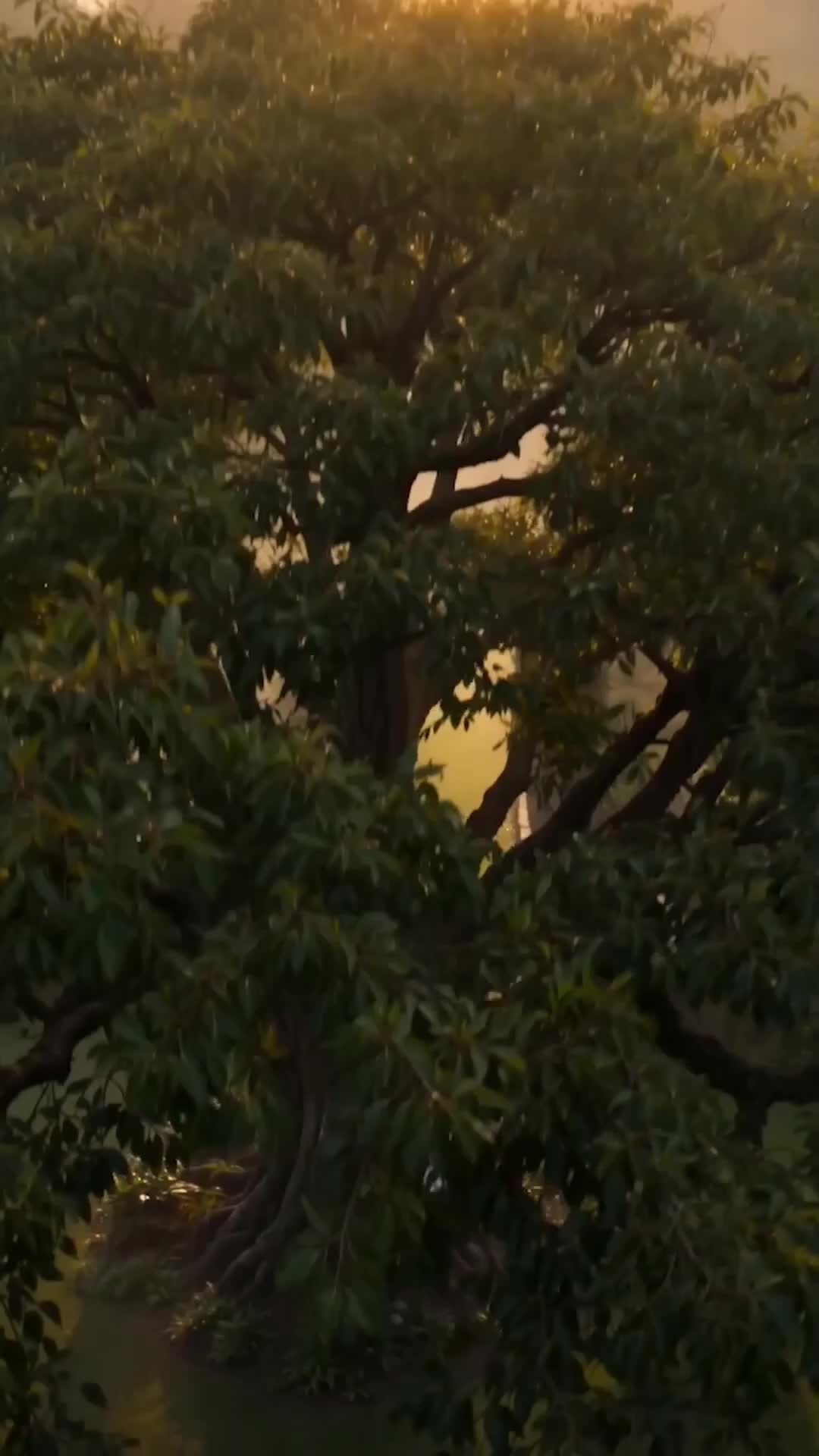 Call Me By His Name Episode 1