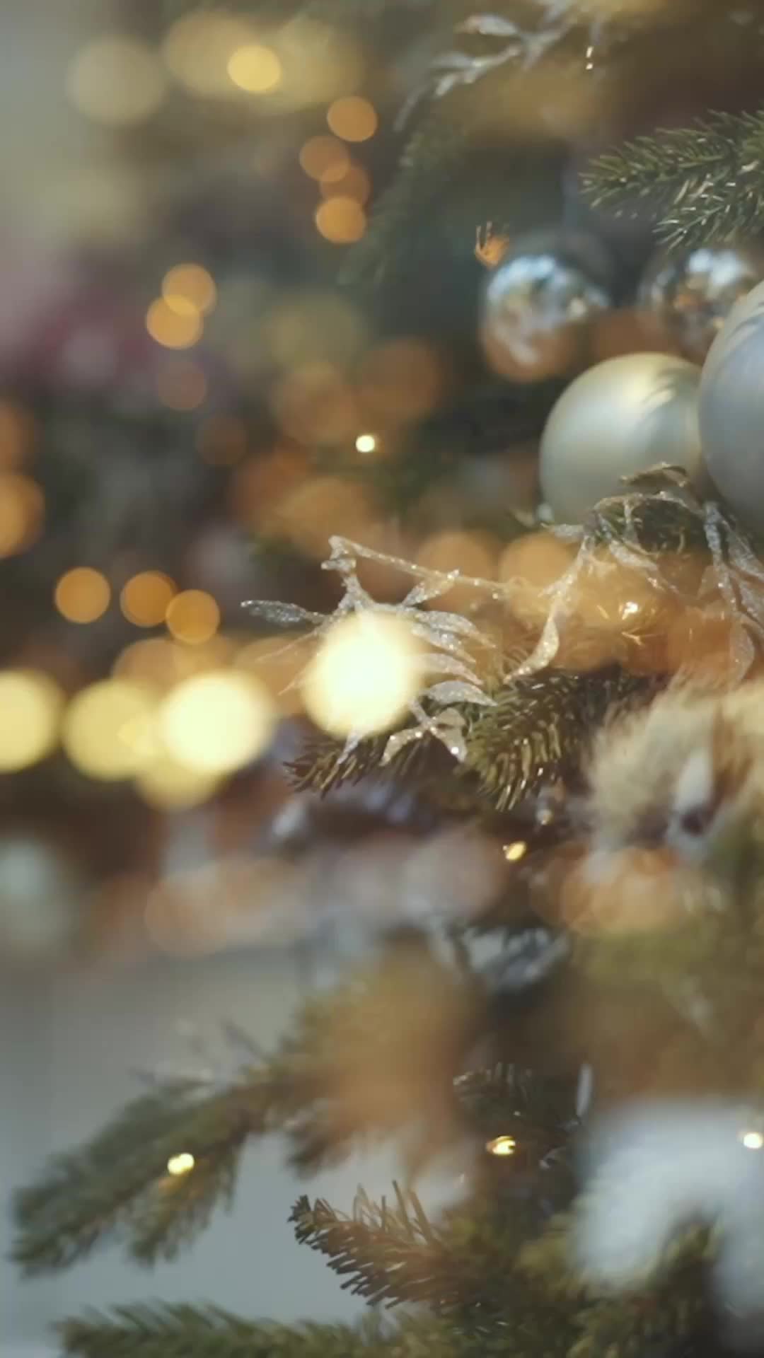 L'Héritier Retrouvé : La Révélation de Noël ( Doublé ) Épisode1