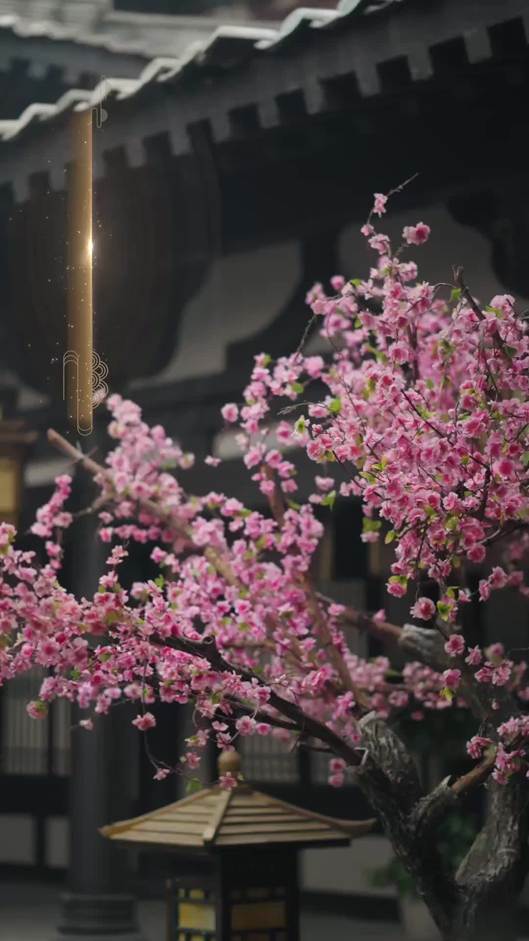 我是侯爺心尖上的廚娘 第9集