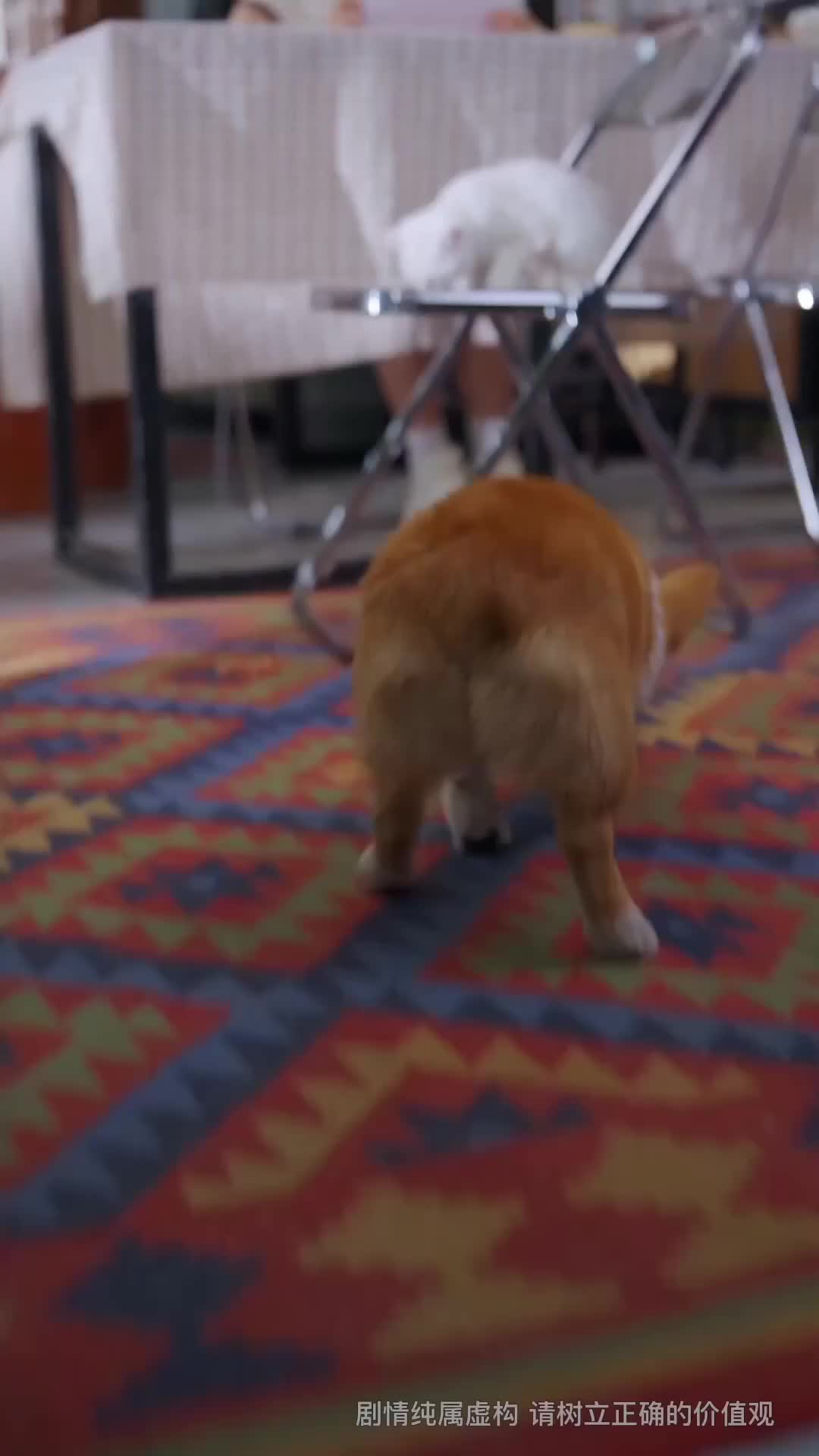 Ep 1