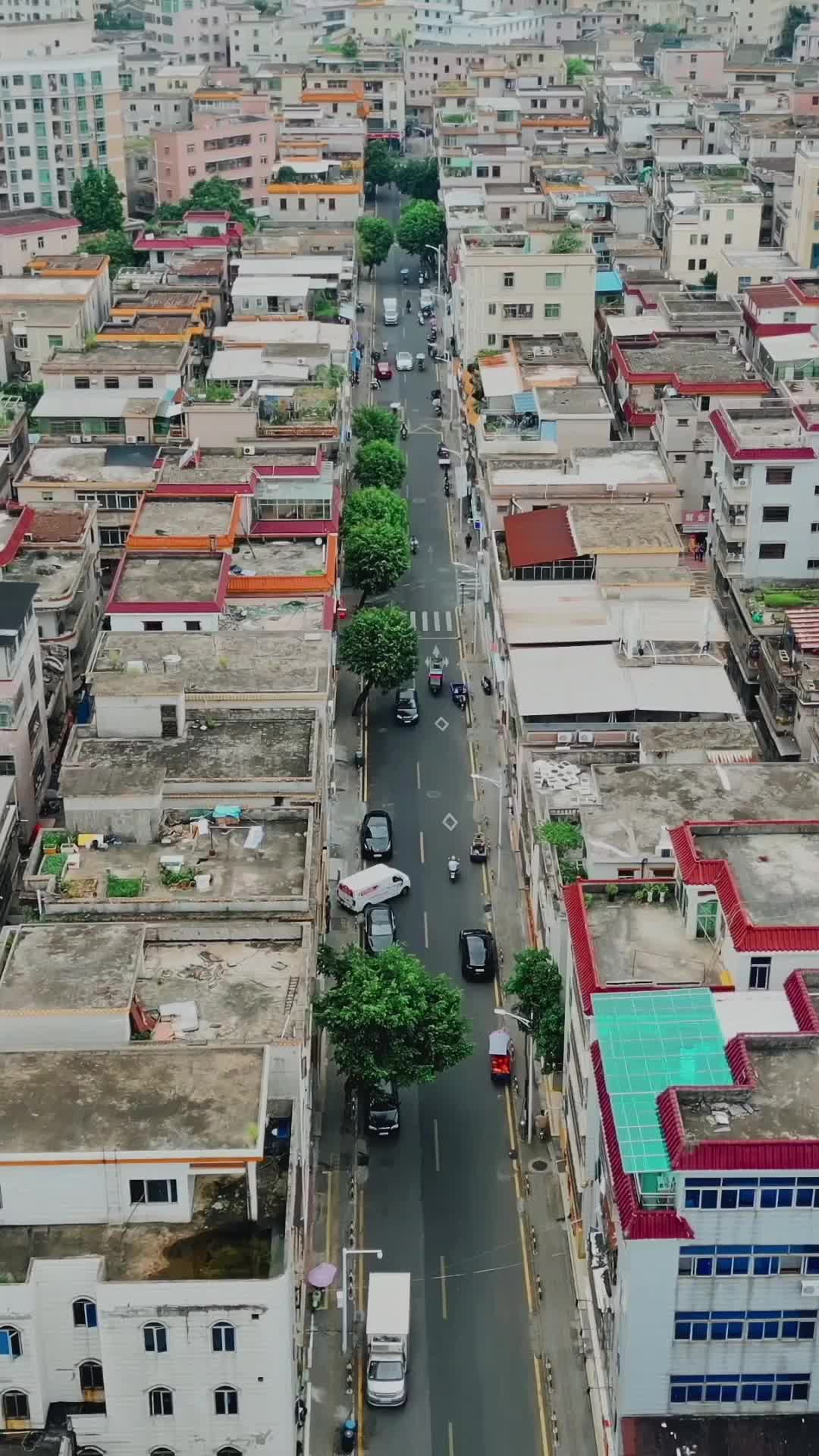 我是首富真千金，也是墨少未婚妻 第5集