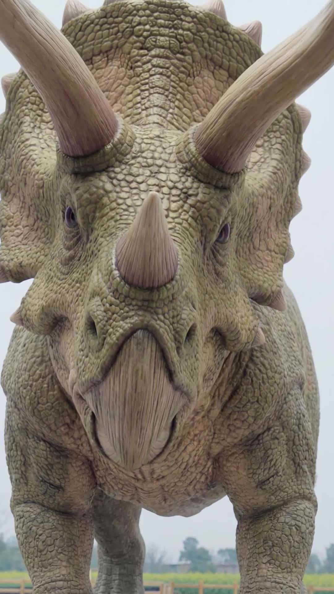 They Gave Me a Zoo, I Built a Dinosaur Empire Episode 5