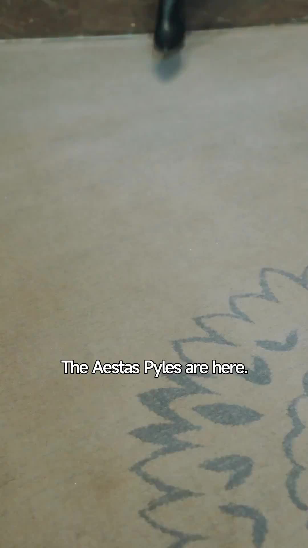 Ep 8