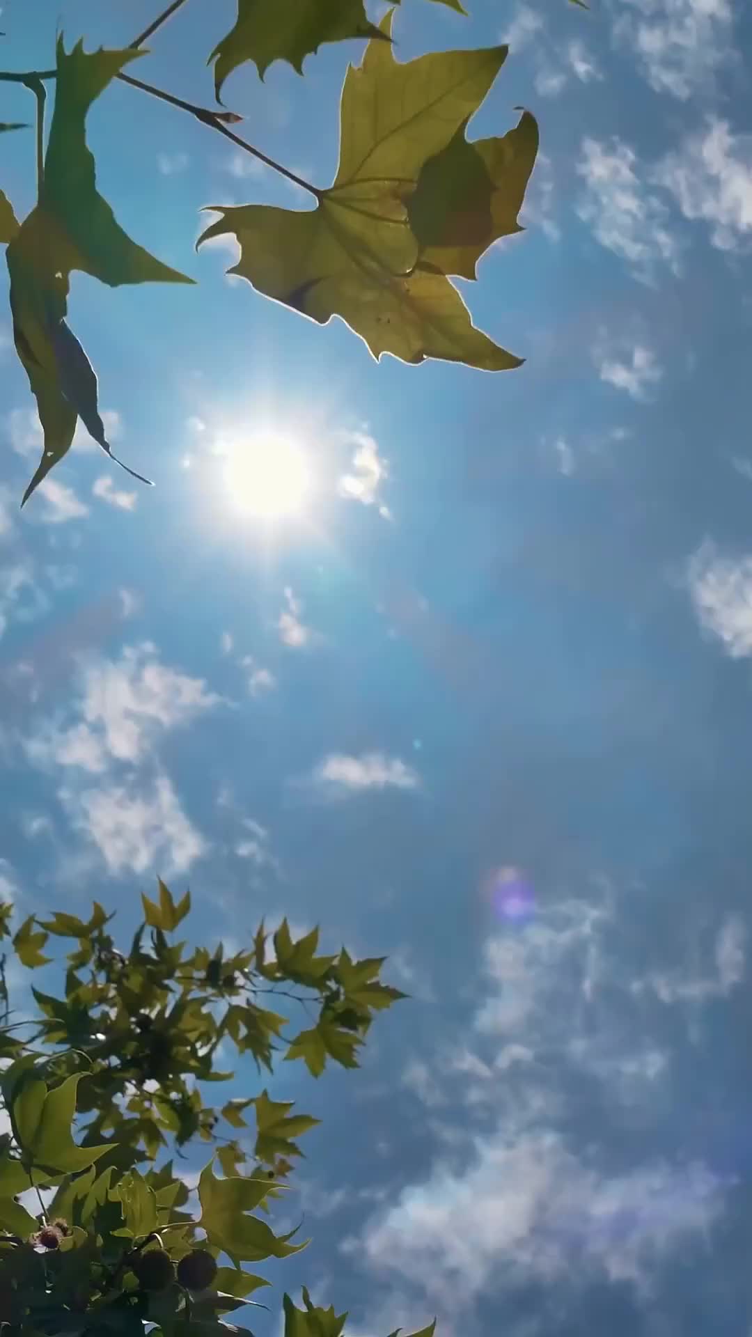 Ep 2