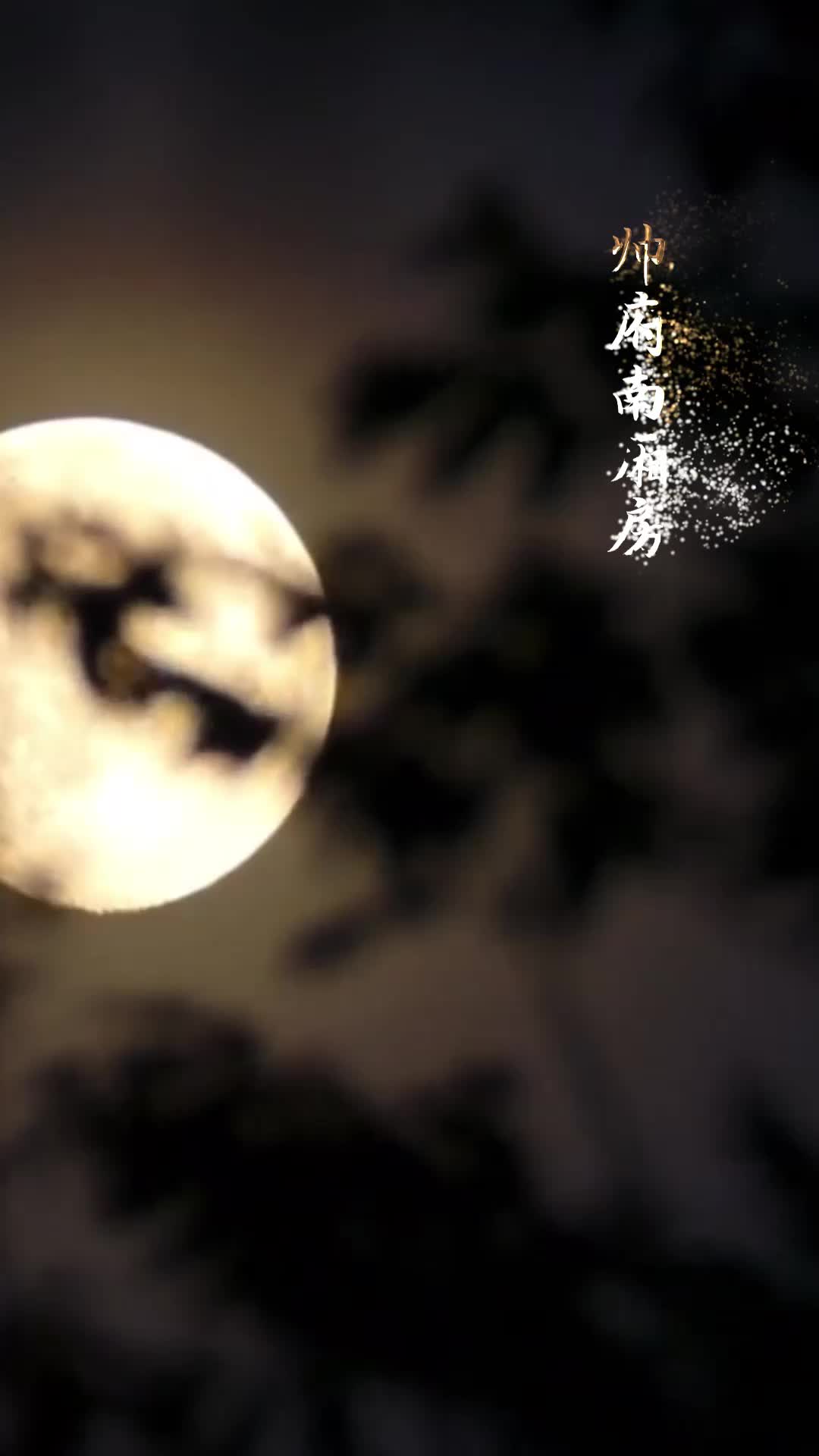 狂暴少帅 第7集