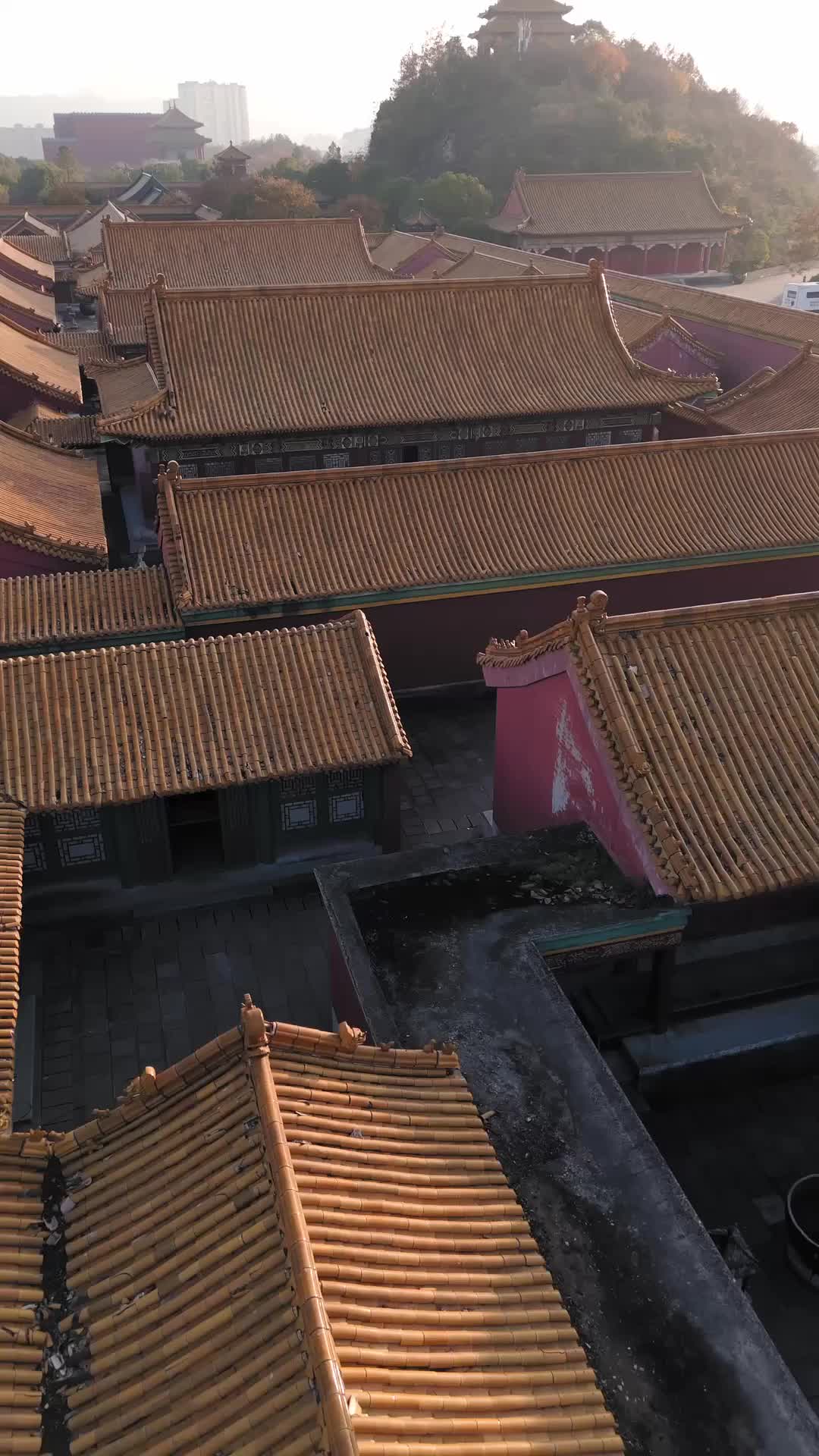 毒妃 第4集