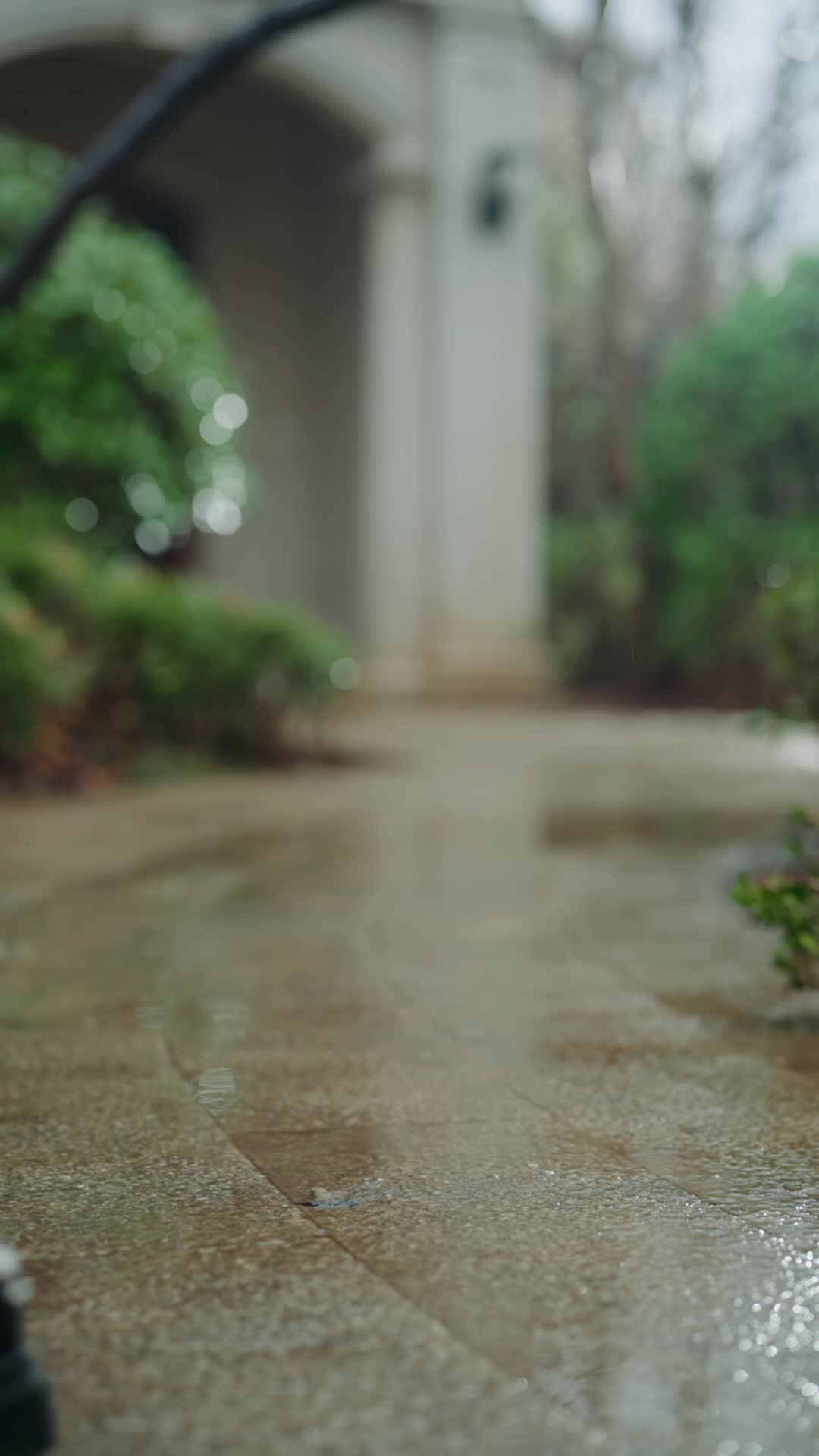 Ep 6