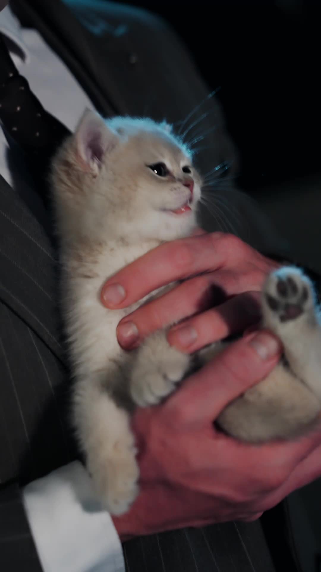 My Assistant is a Hot Super Cat Episode 2