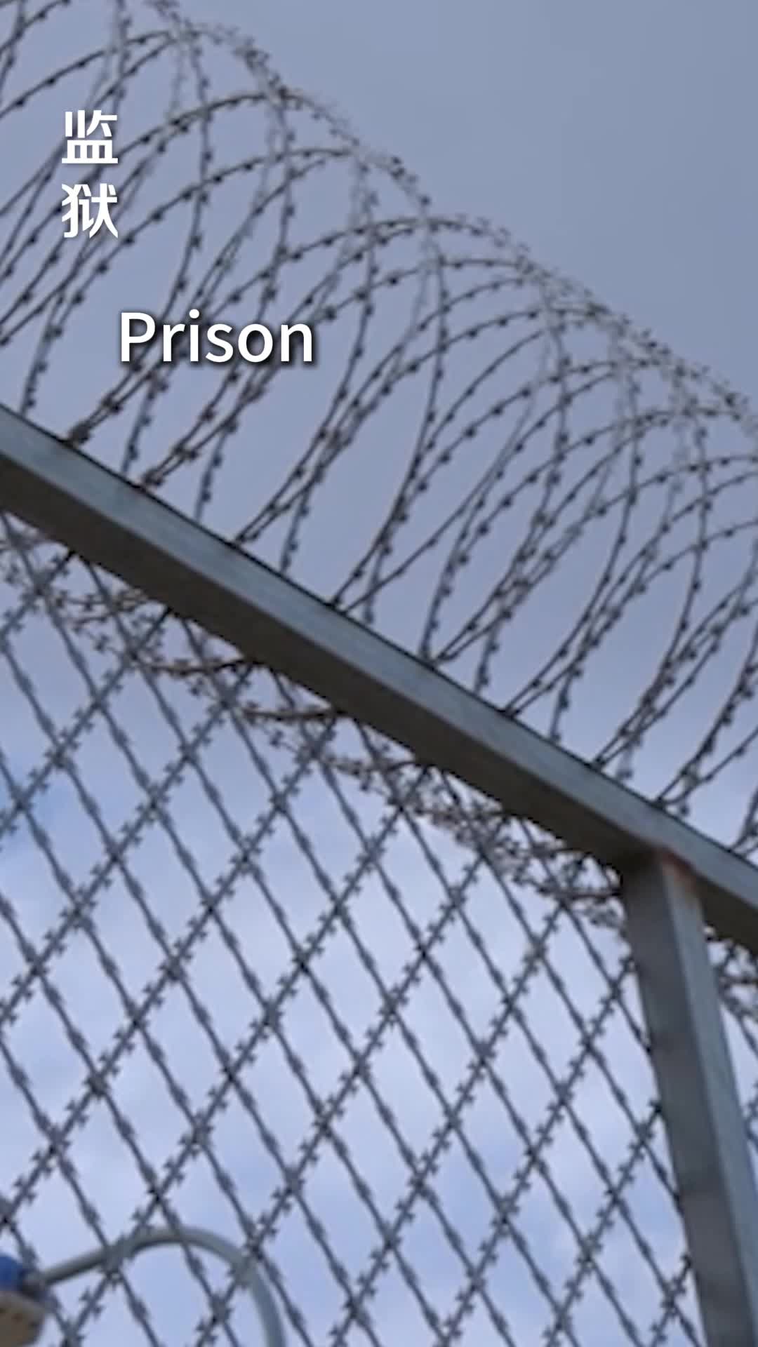 Ep 3