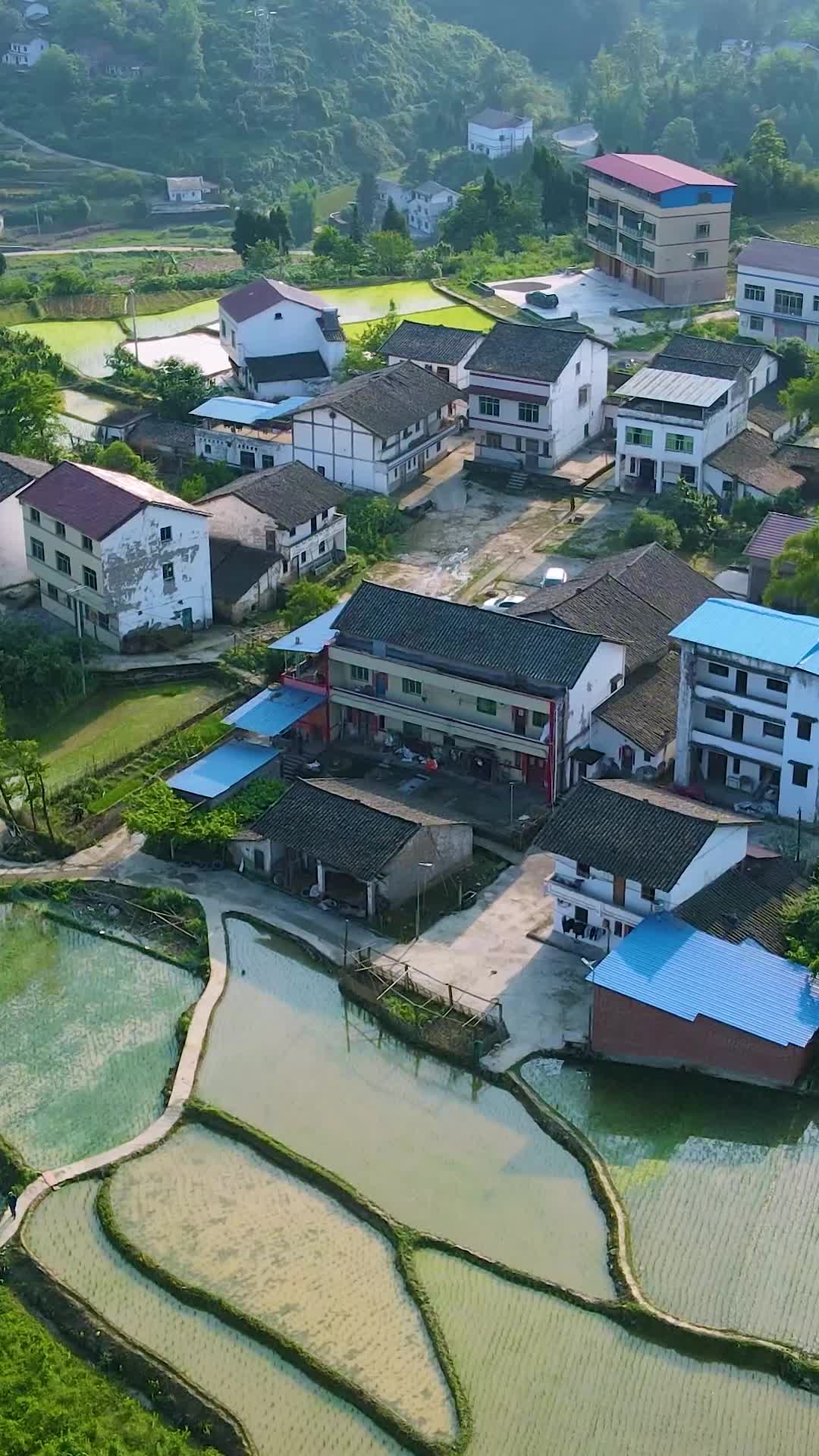 白菜乡情 第1集