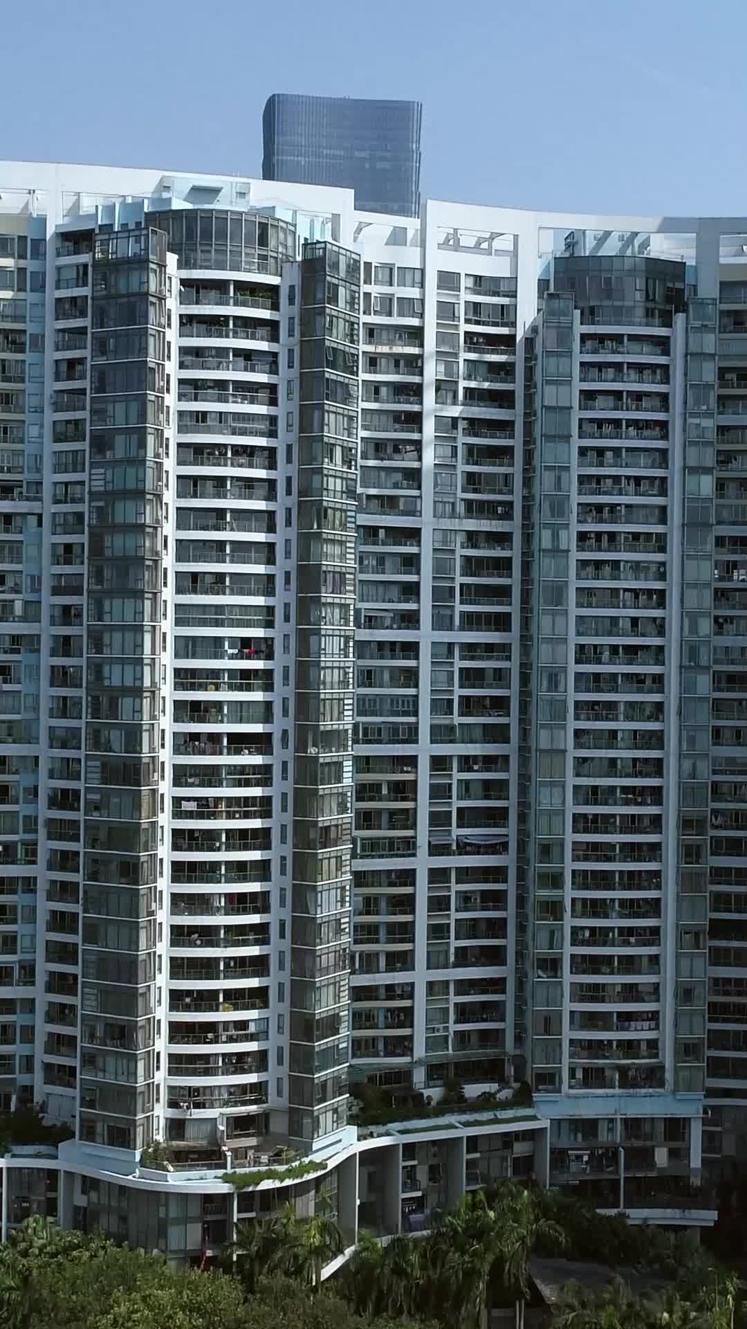 卖鱼王 第2集