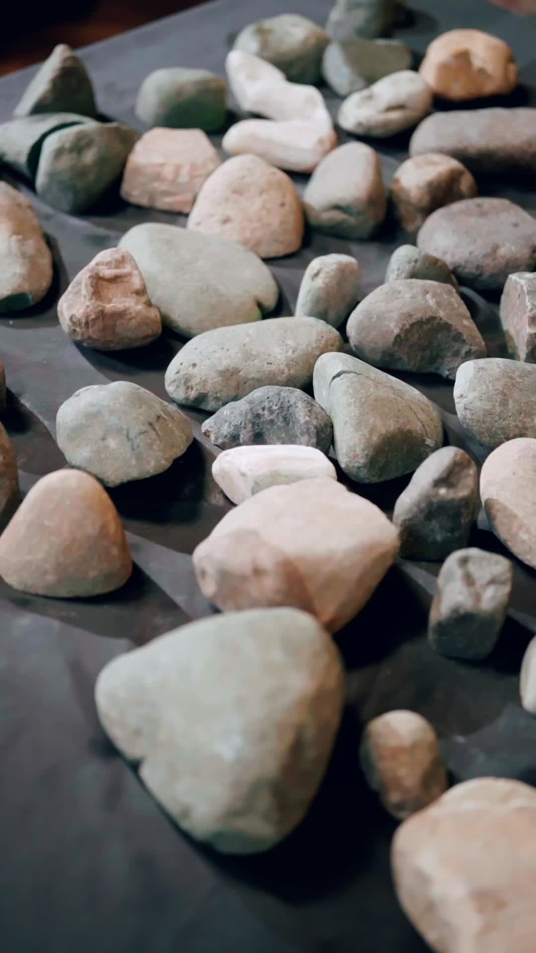Ep 5