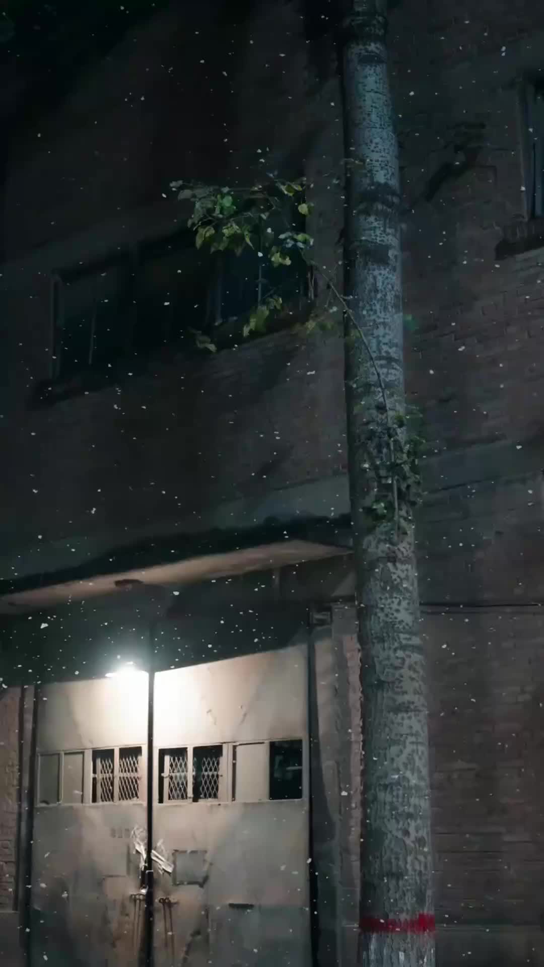 Ep 1