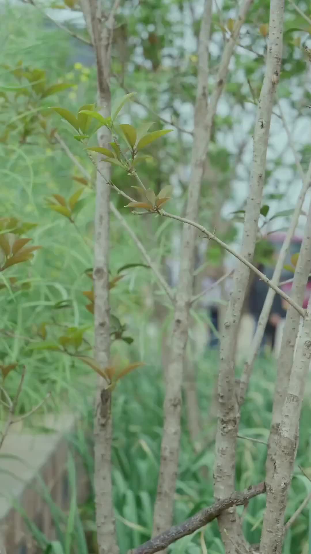 The Hero's Glorious Homecoming Episode 7
