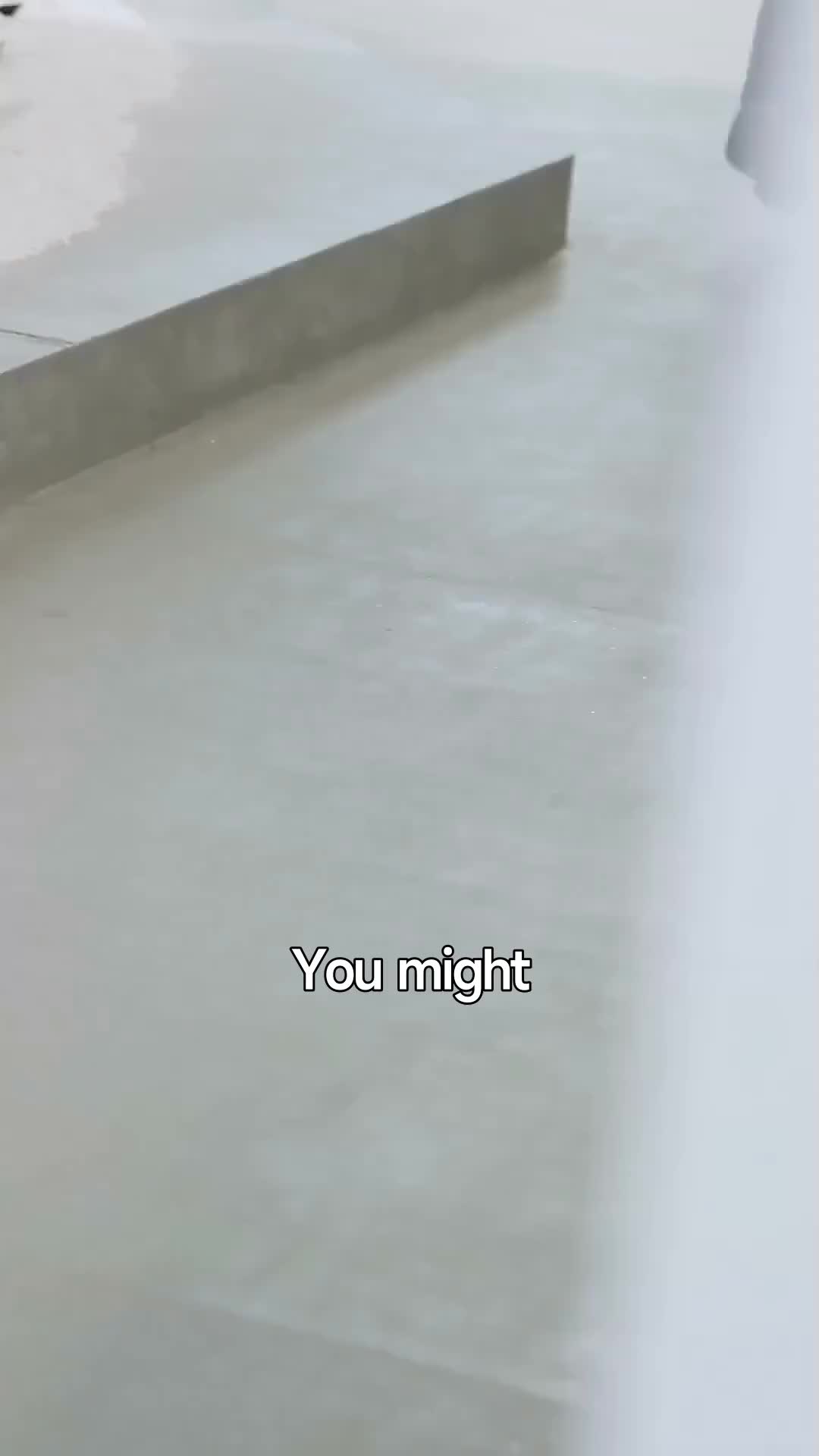 Ep 22
