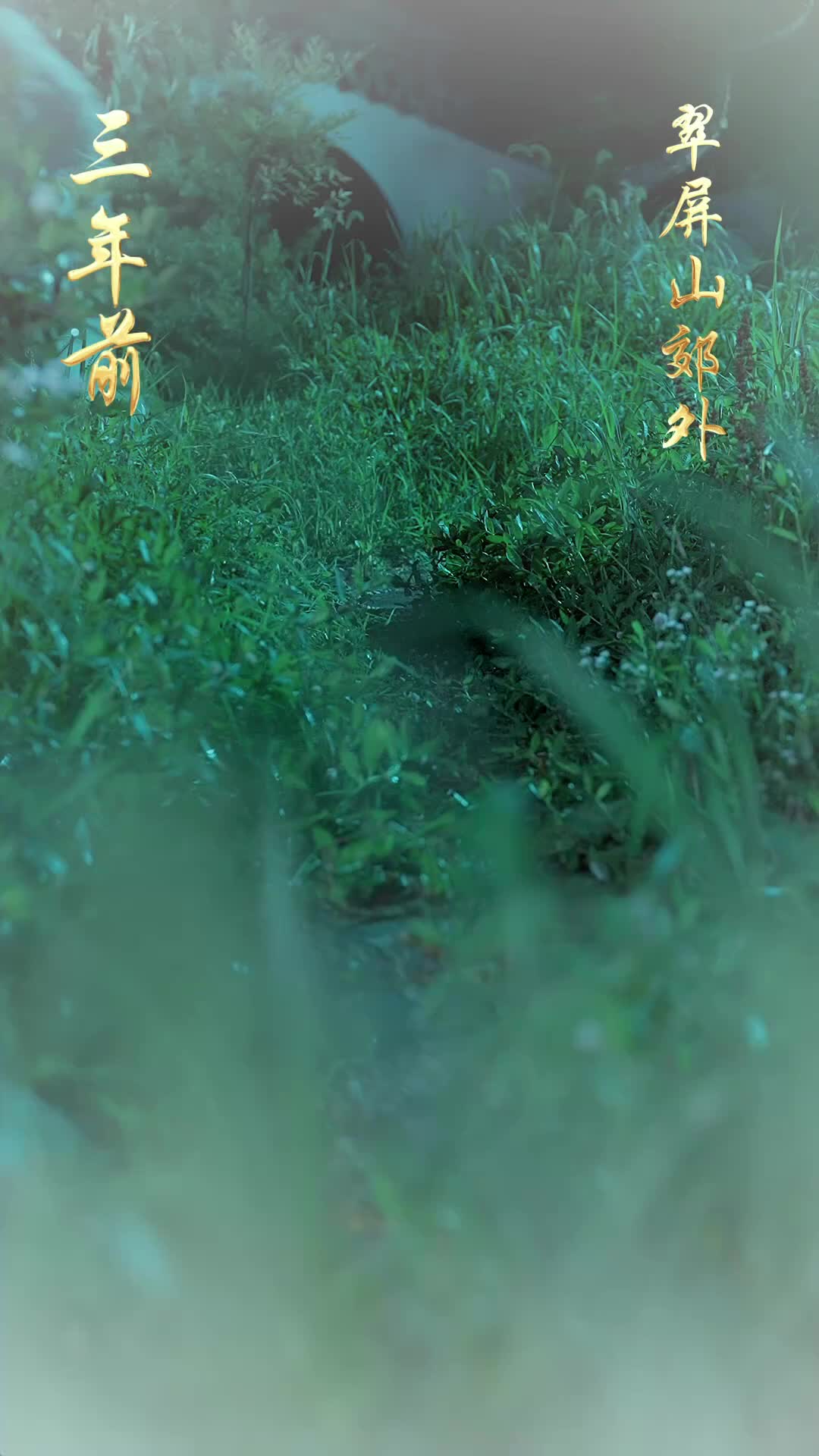 Takdir yang Ditukar - Episode 41 - Episode 41