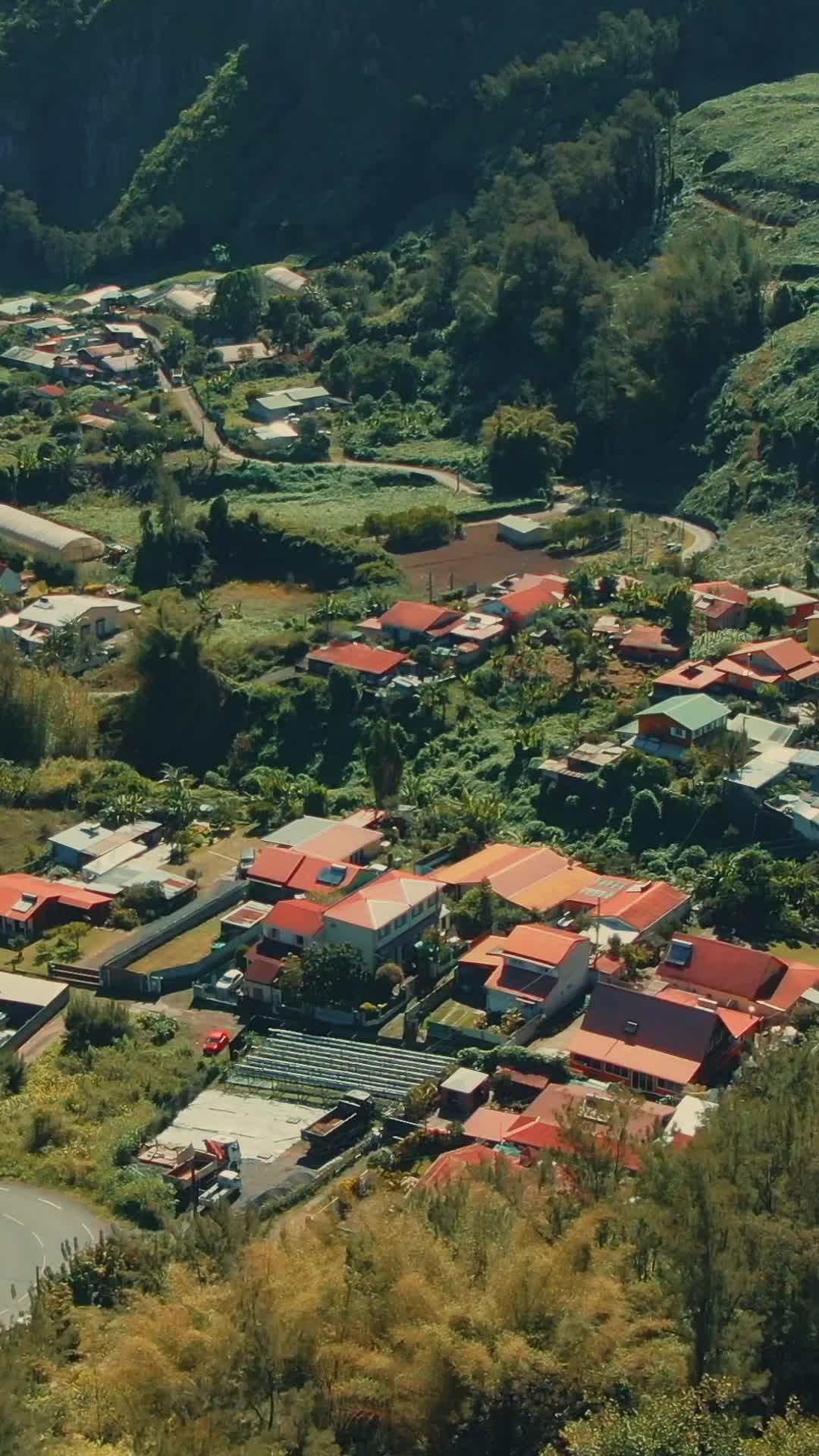 Ketulusan Cinta Sang Alpha - Episode 1 - Episode 1