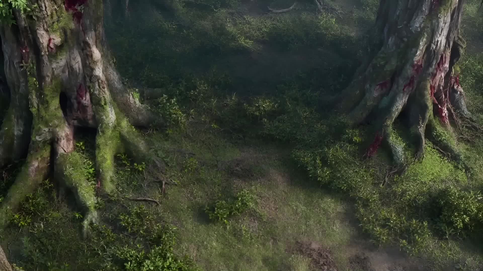 Ep 6