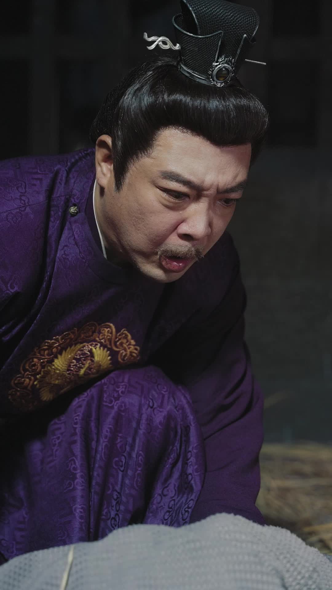 皇帝回乡 第11集