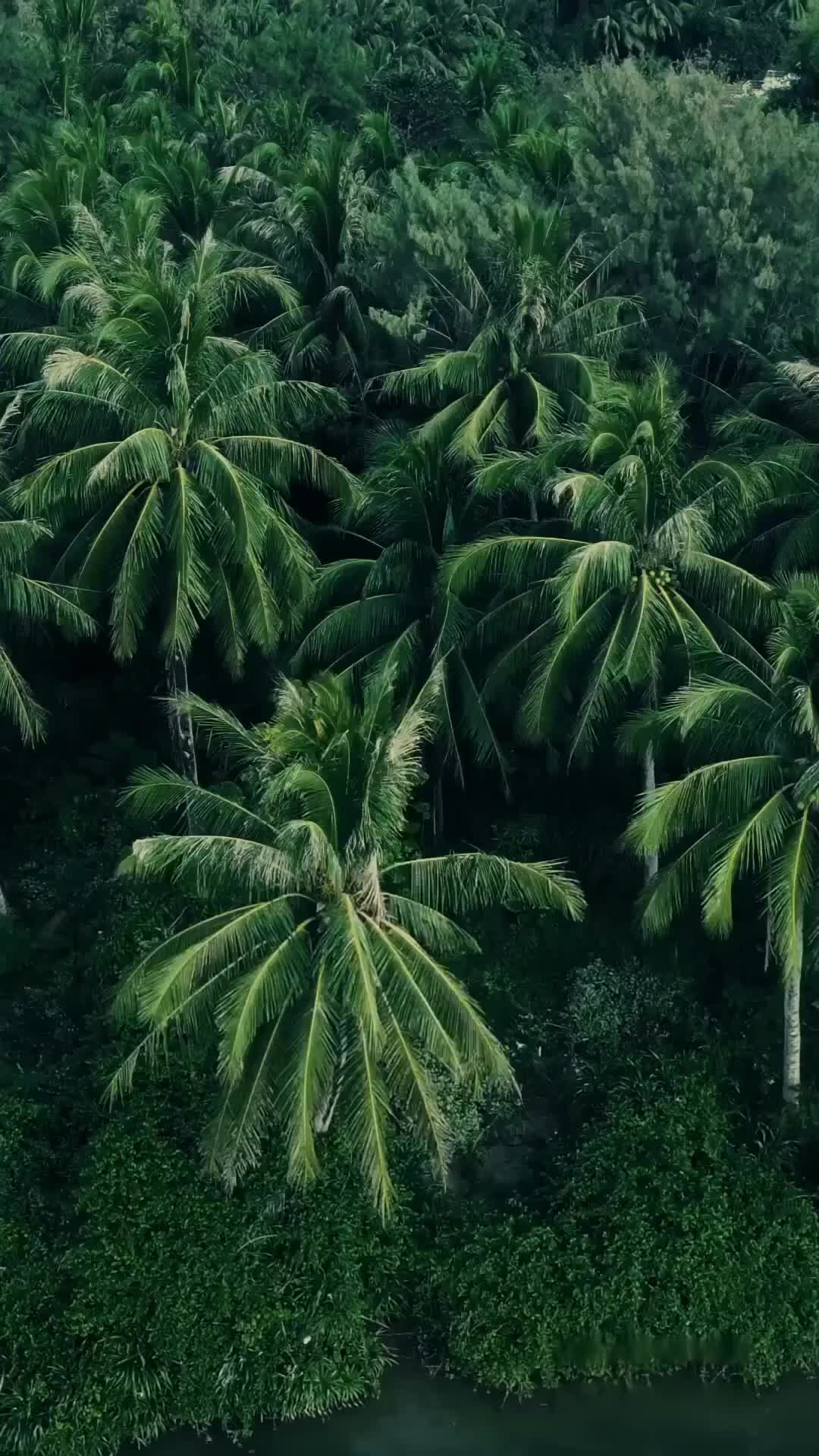 Lights Off, Survival On Episode 1
