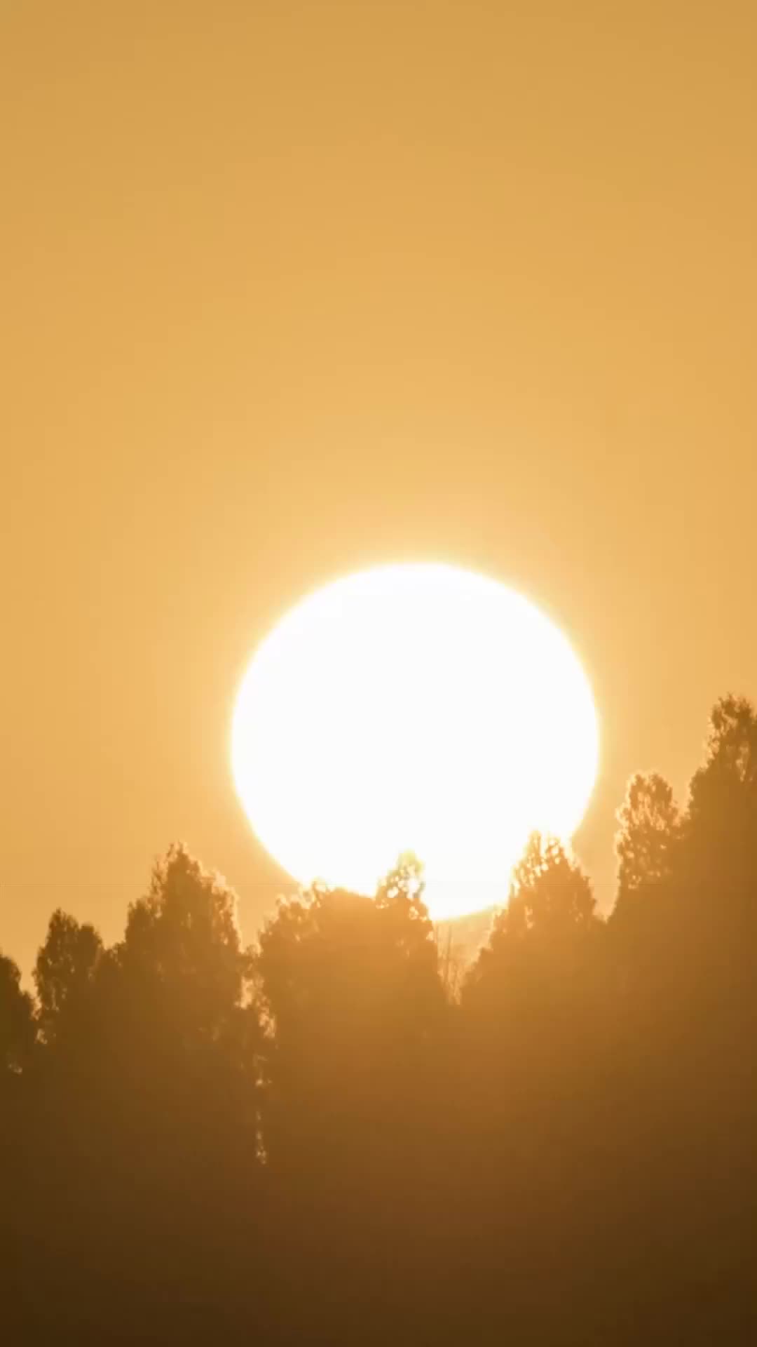 Cuando la luna ya no vuelva Episodio 11