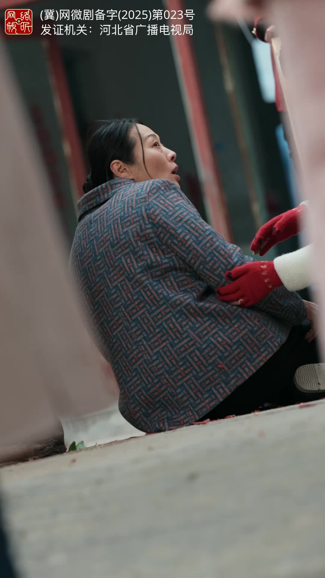 正月初二，回娘家 第10集