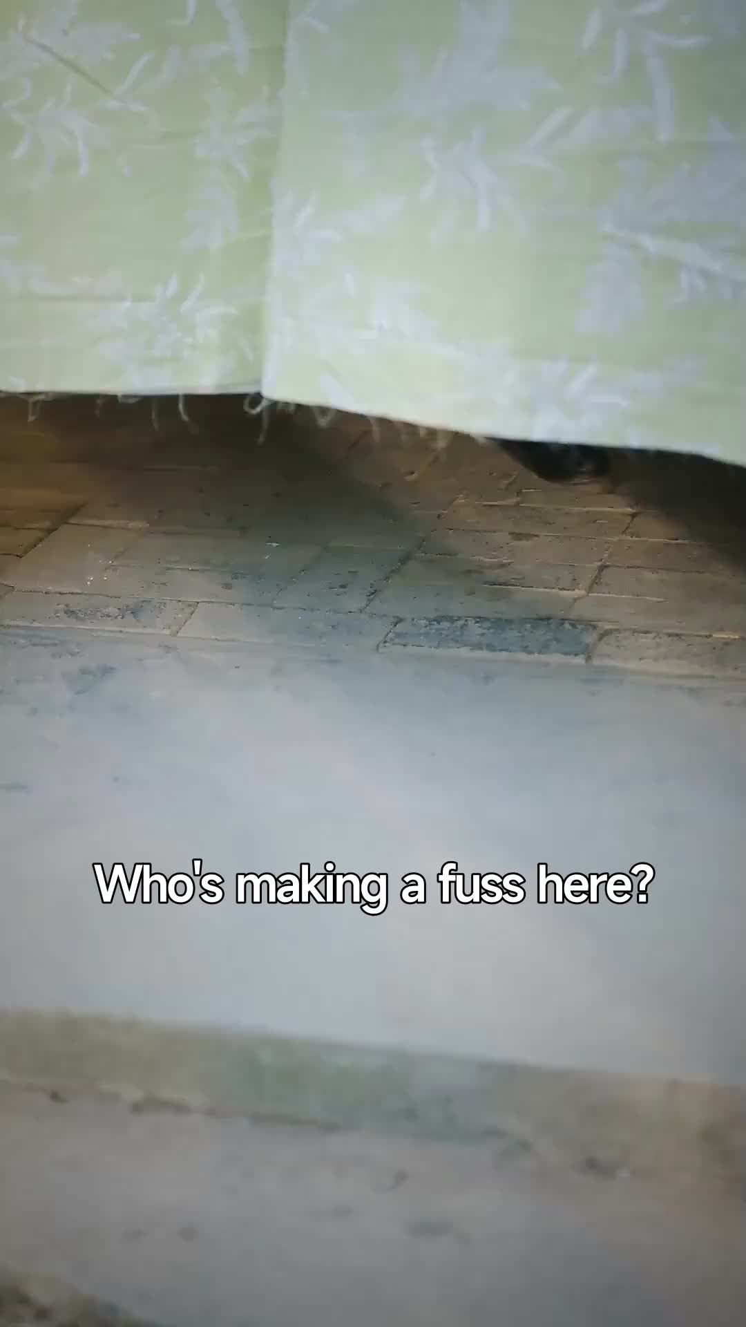 Ep 31