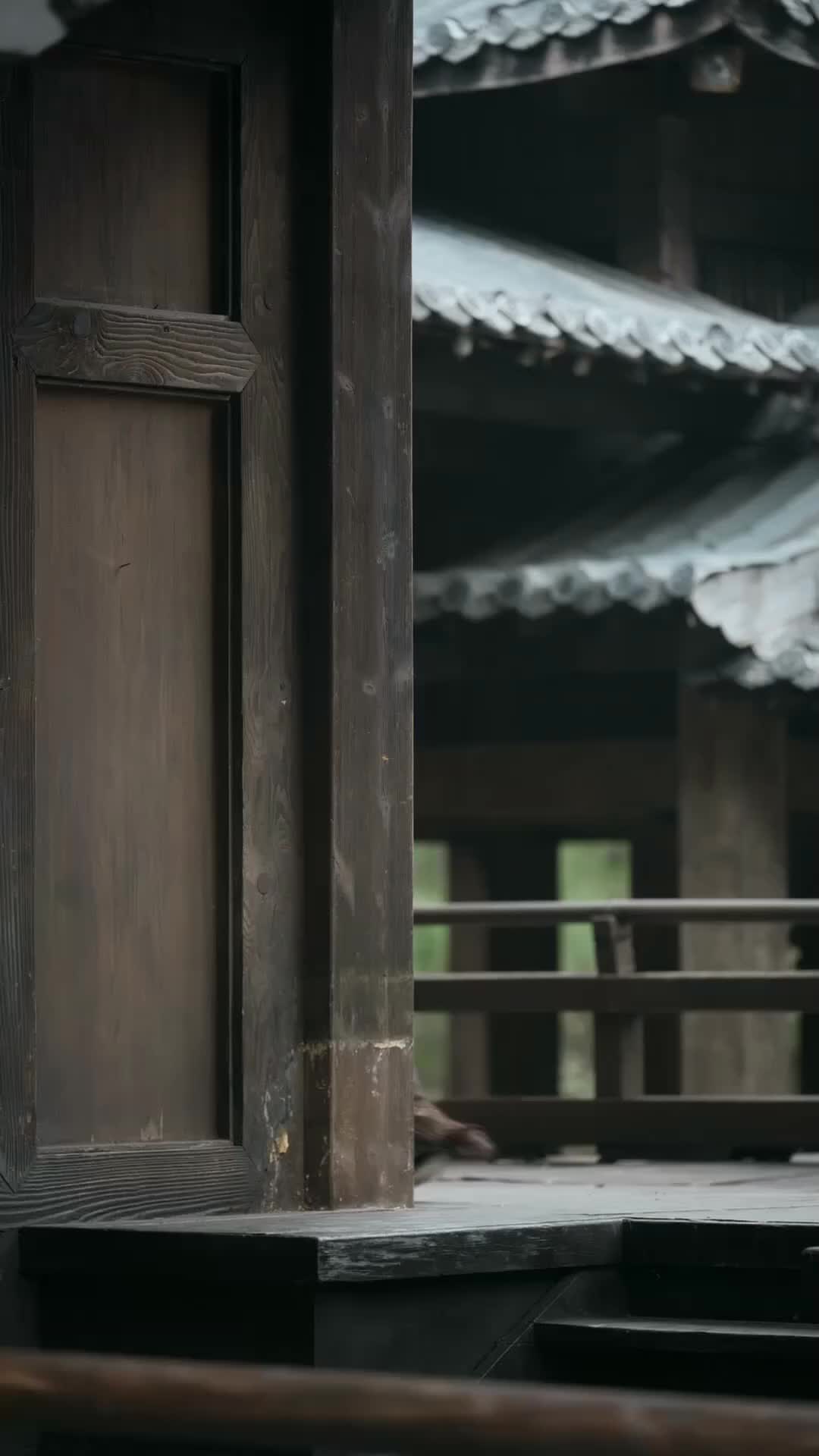 Ep 15