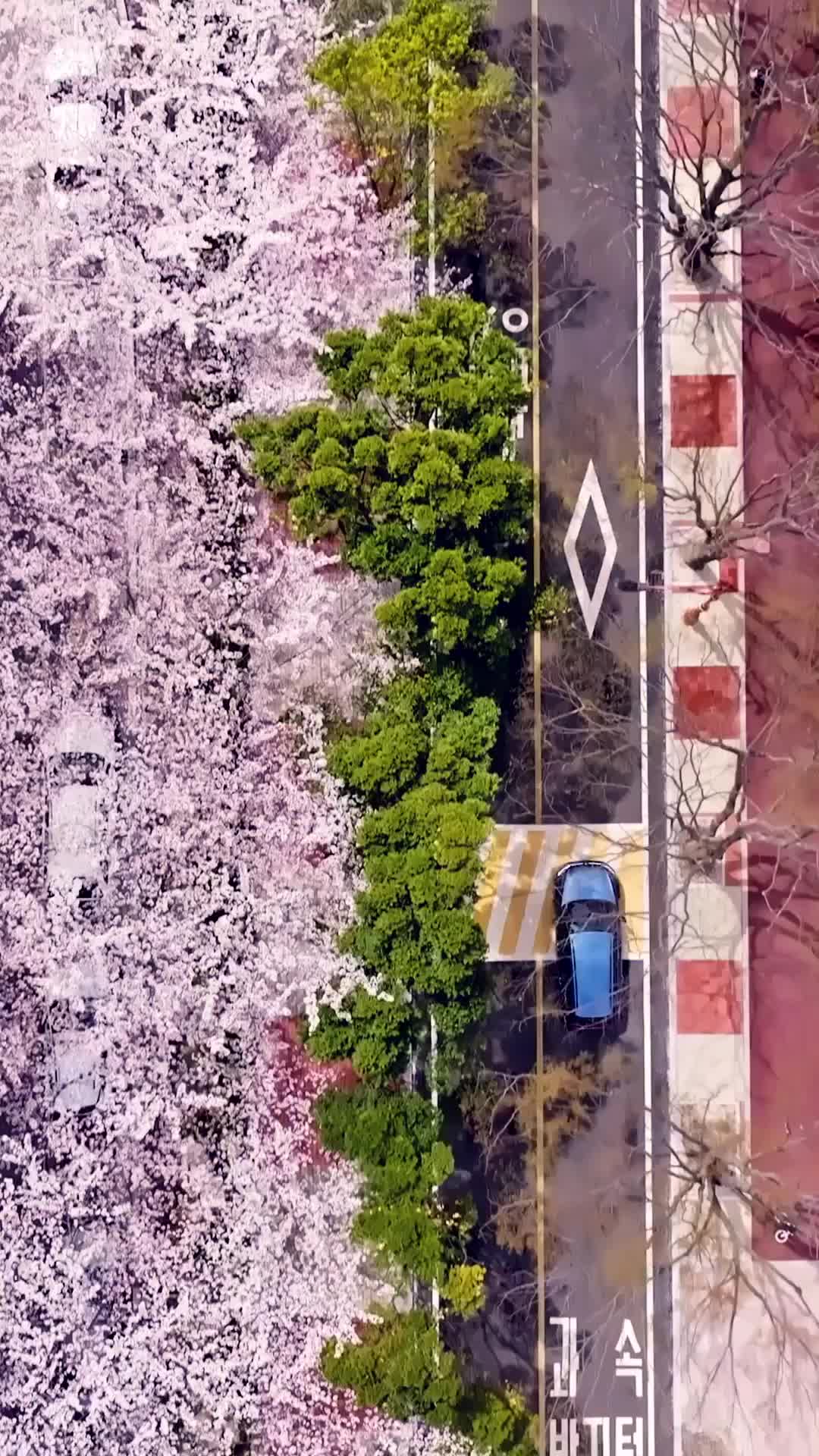 블러드체인 제1회