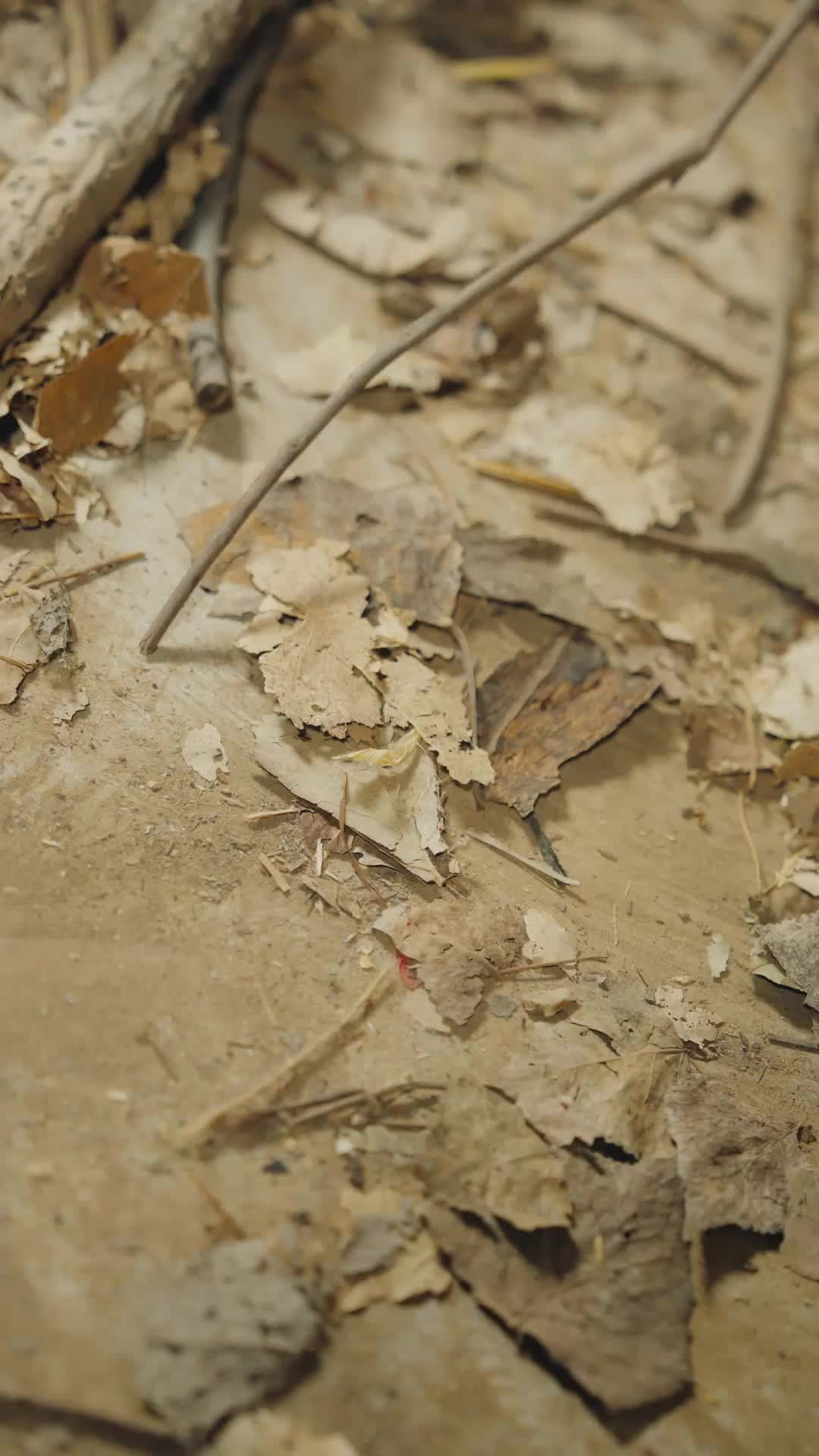 高考后,我一飞冲天 第9集