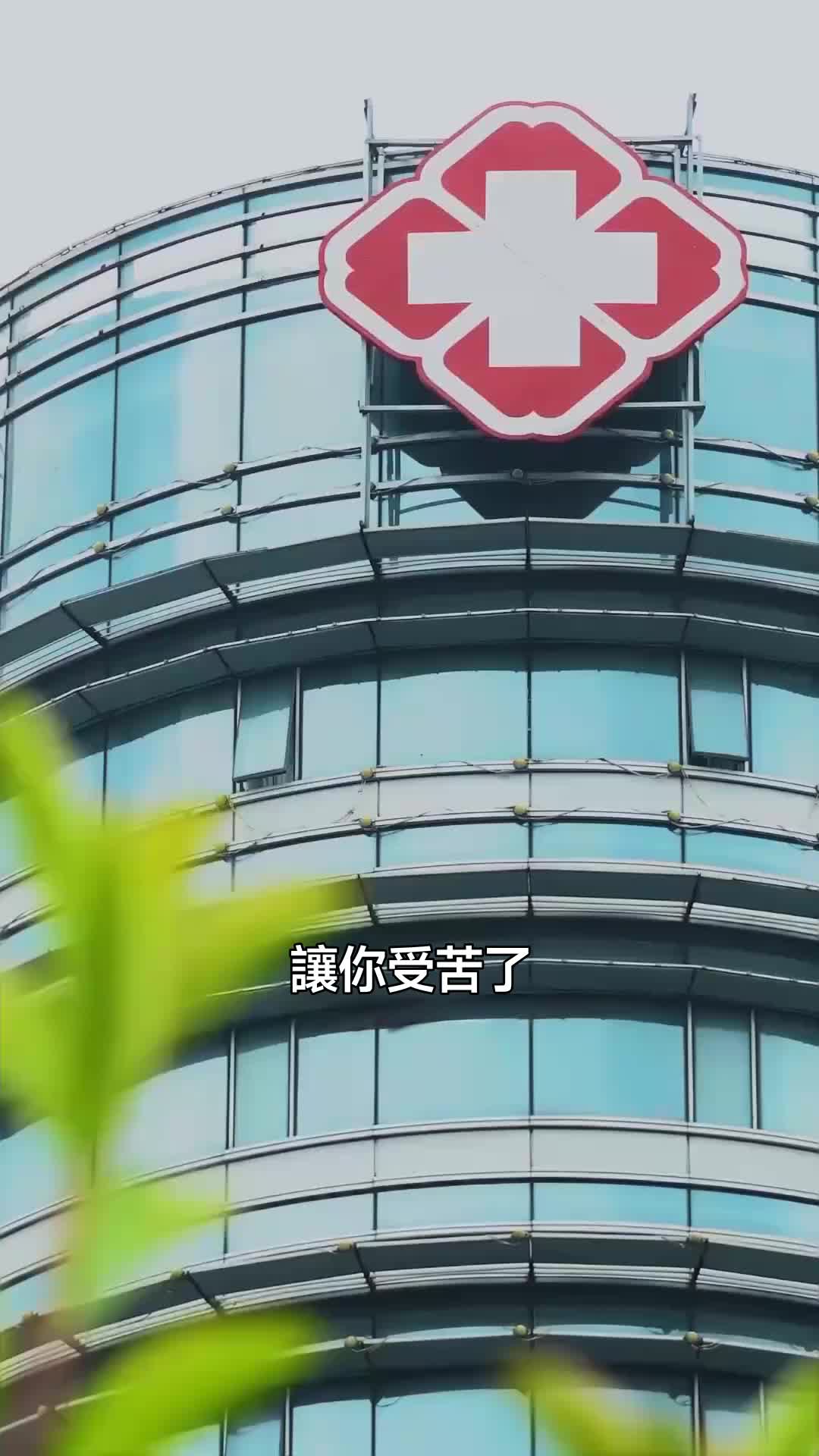 盛夏逢枯梔 第2集