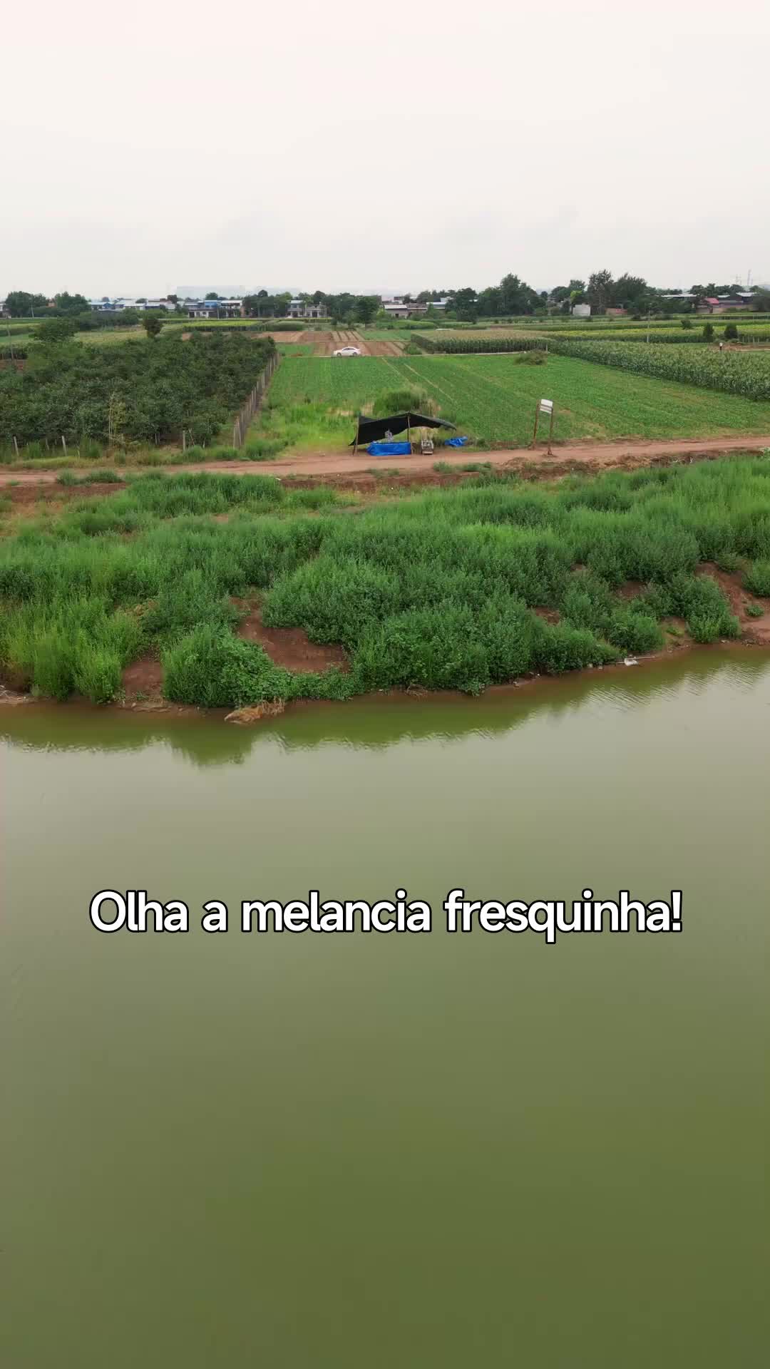 O Dia do Casamento Foi o Dia da Vingança 1Episódio