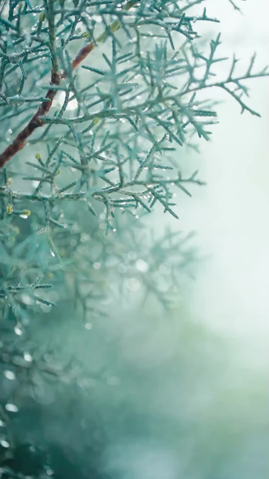 Ep 1