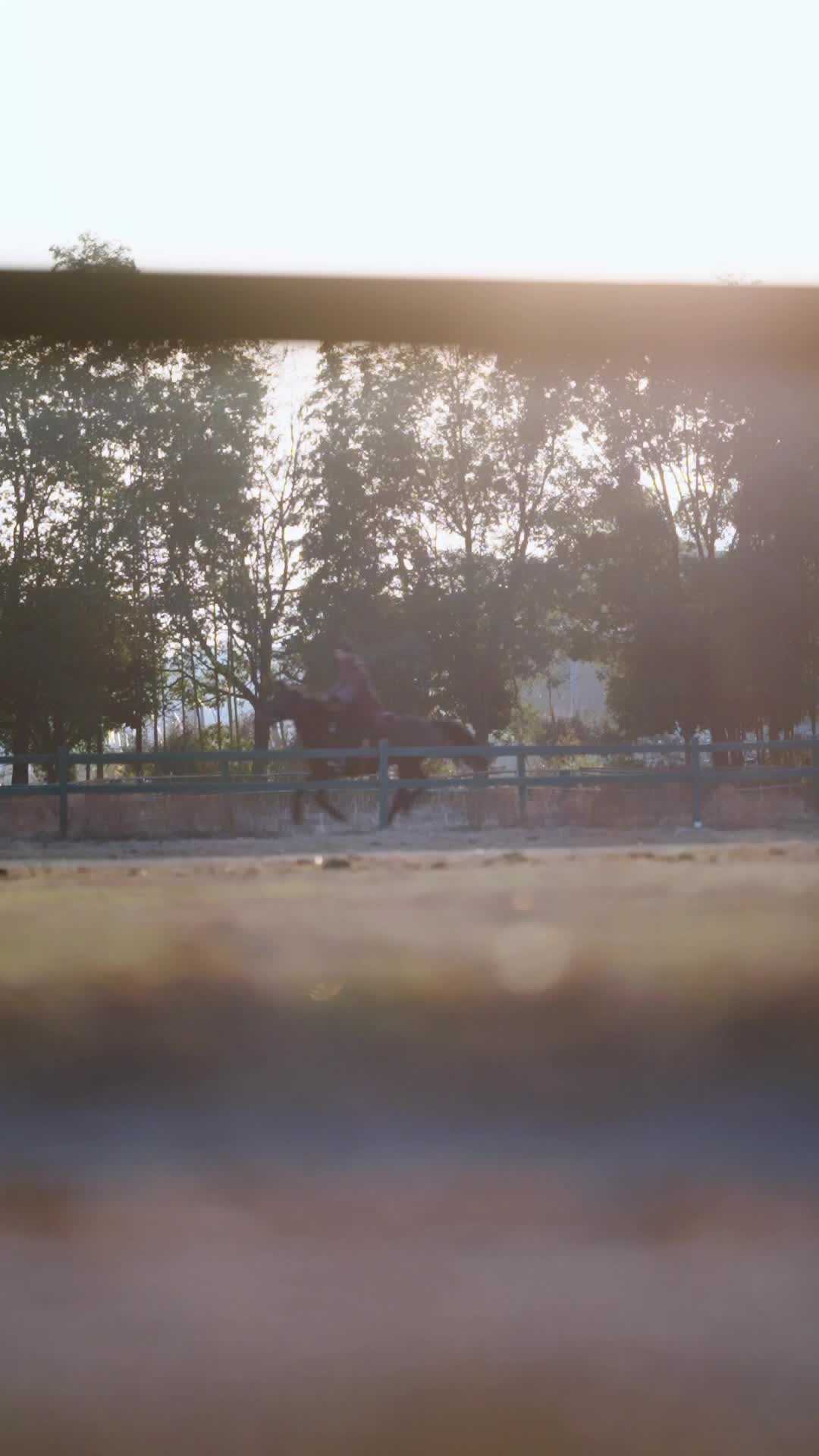 顾念 第1集