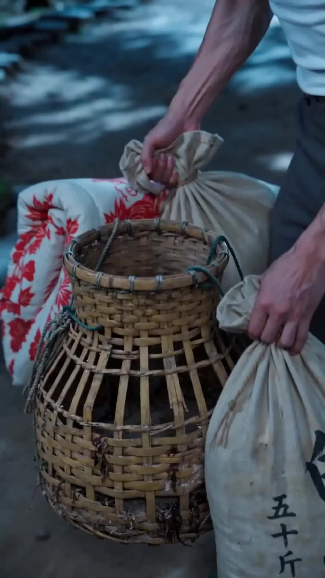七零赶海,我家老婆是落难大小姐 第5集
