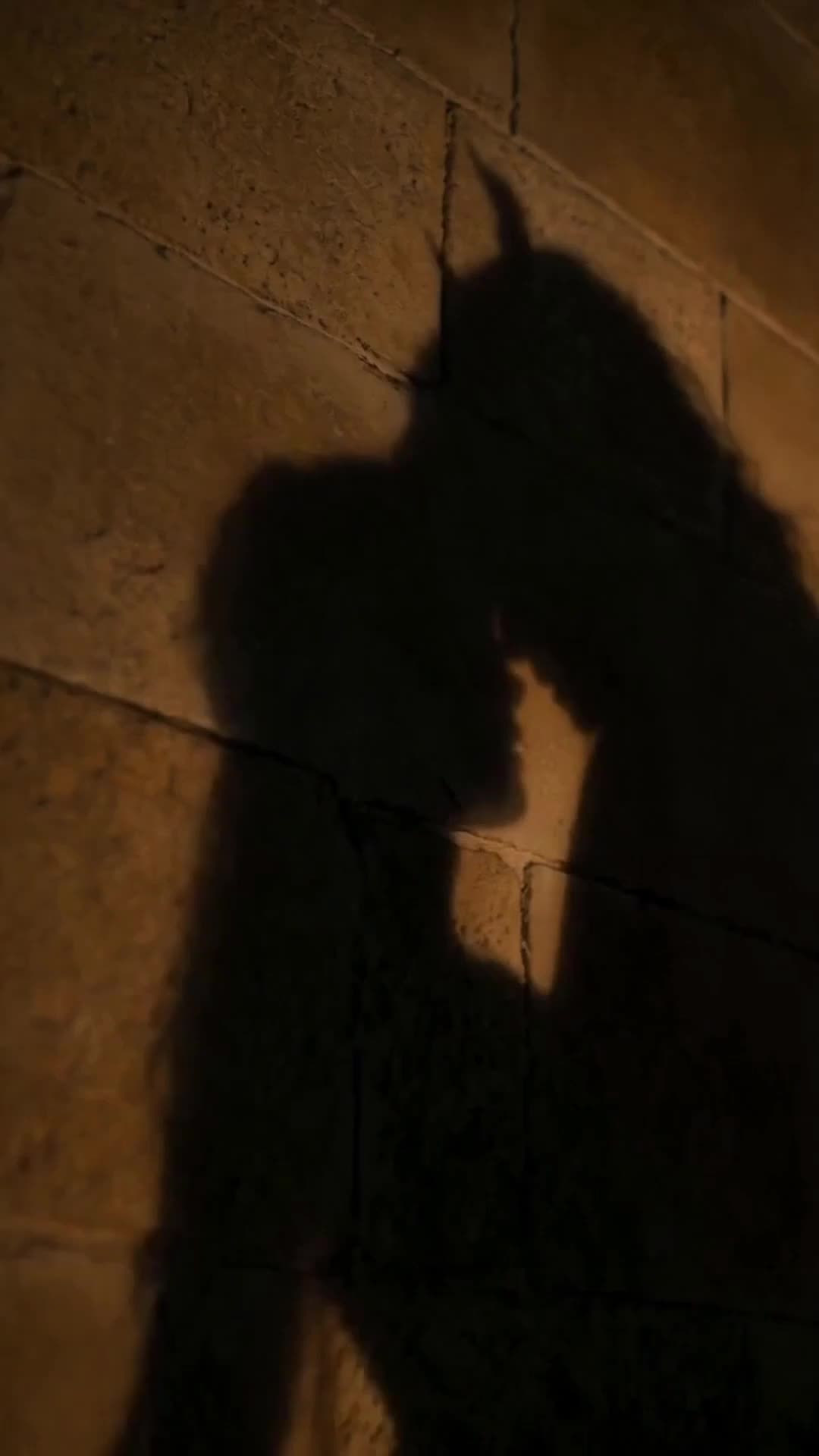 Renací para ser la Reina Dragón（Doblado） Episodio 11