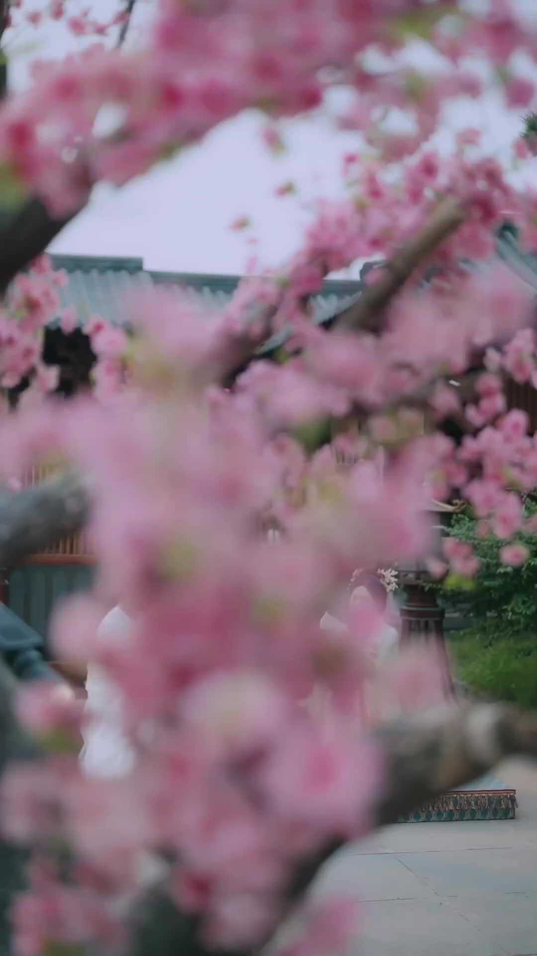 Ep 36