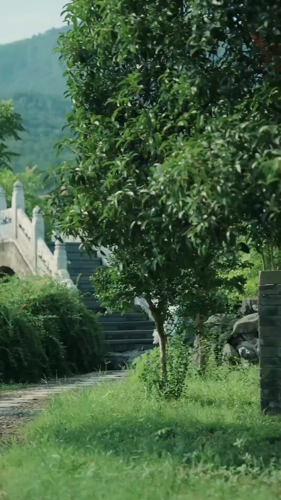 Ep 46