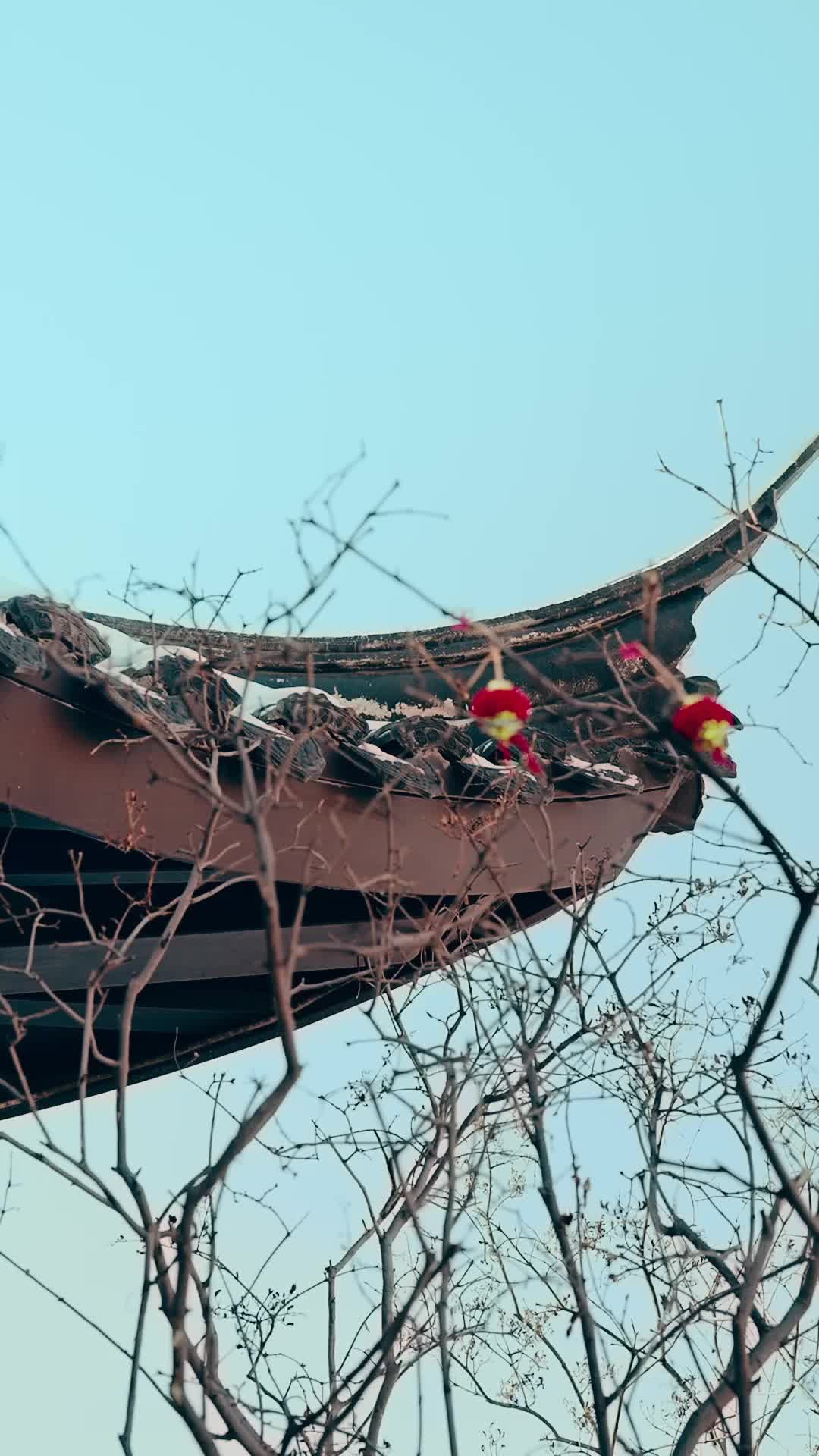 返老还童 第1集