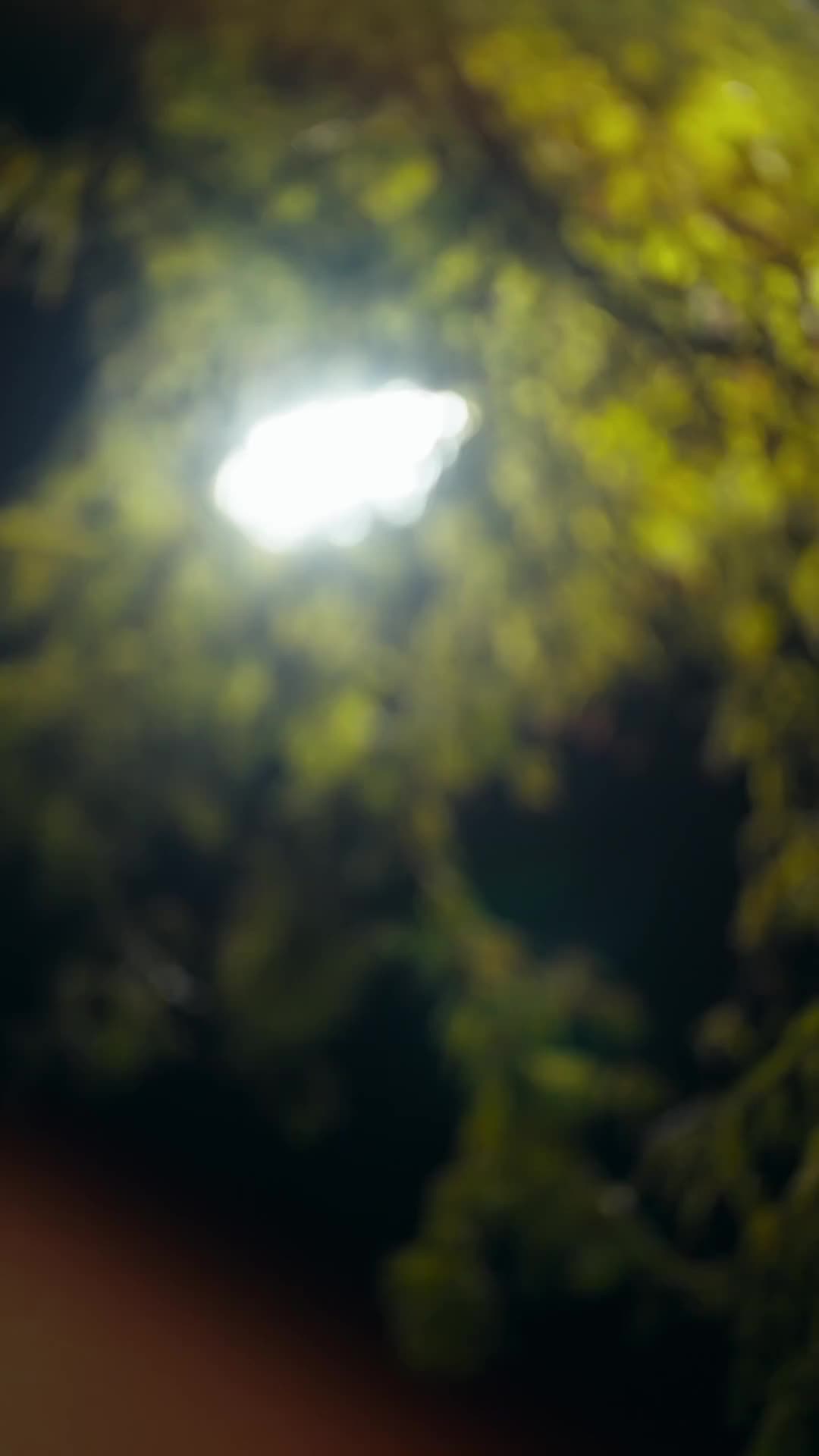 黑白原來是真的 第6集