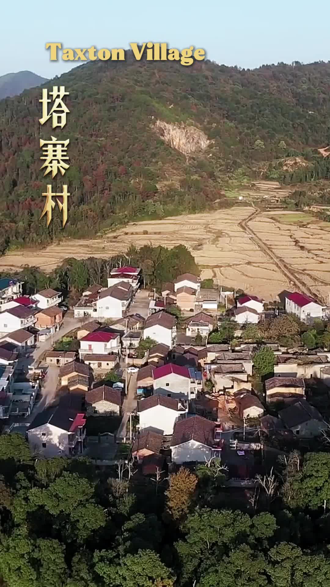 Ep 3
