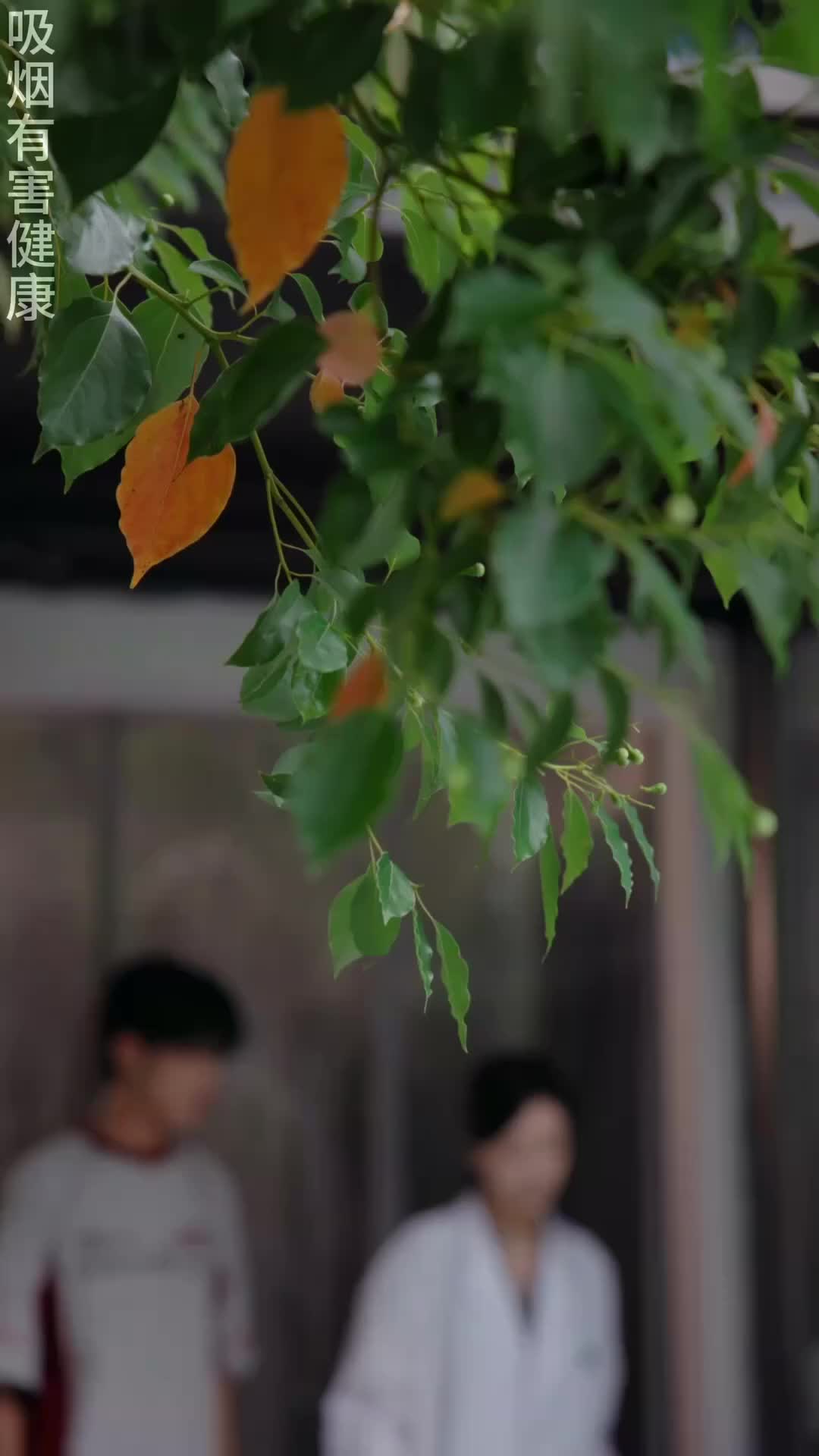 Pulang ke Hatimu Episode 5