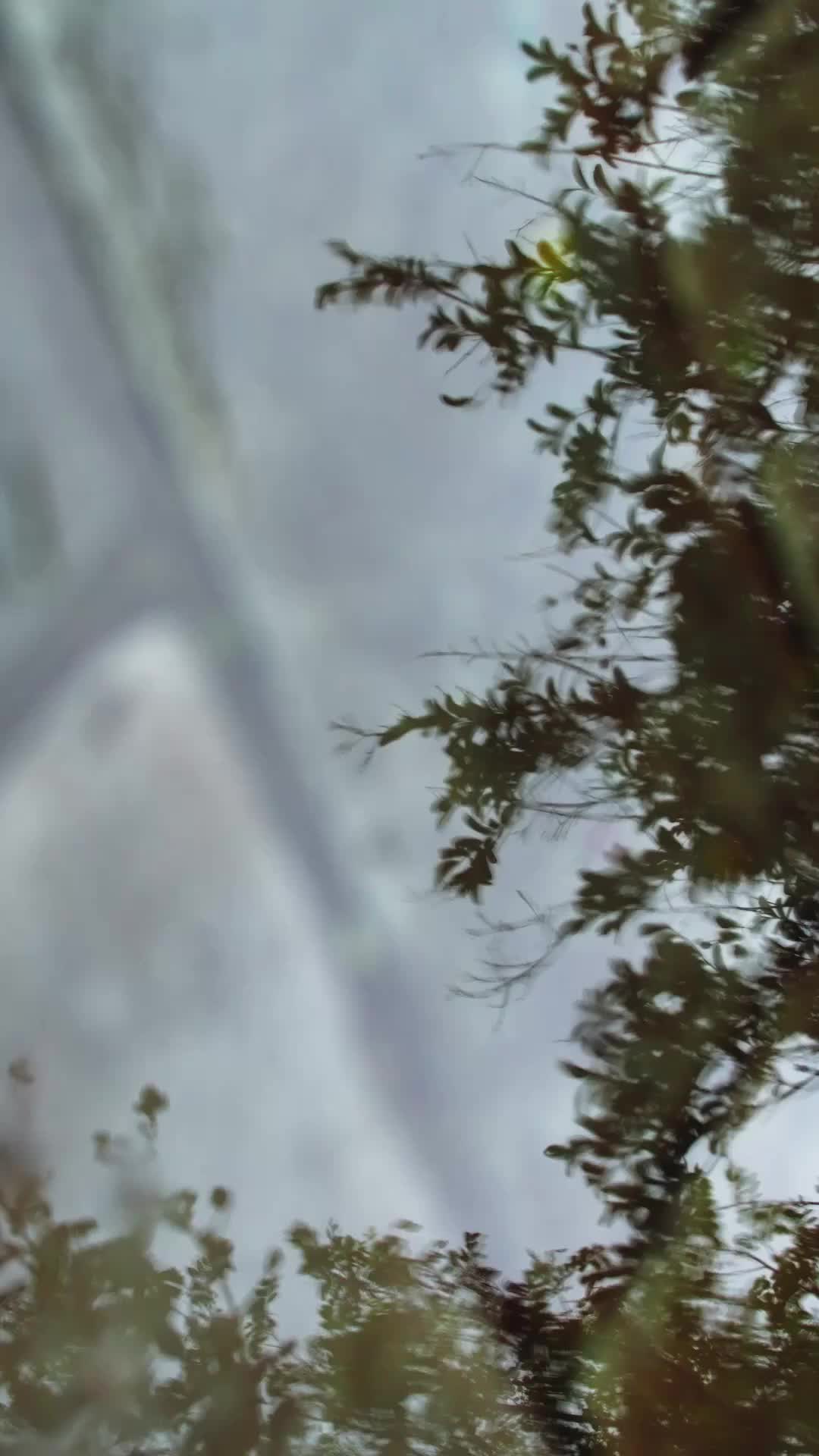 A Esposa Que Ele Abandonou Virou Rainha 1Episódio