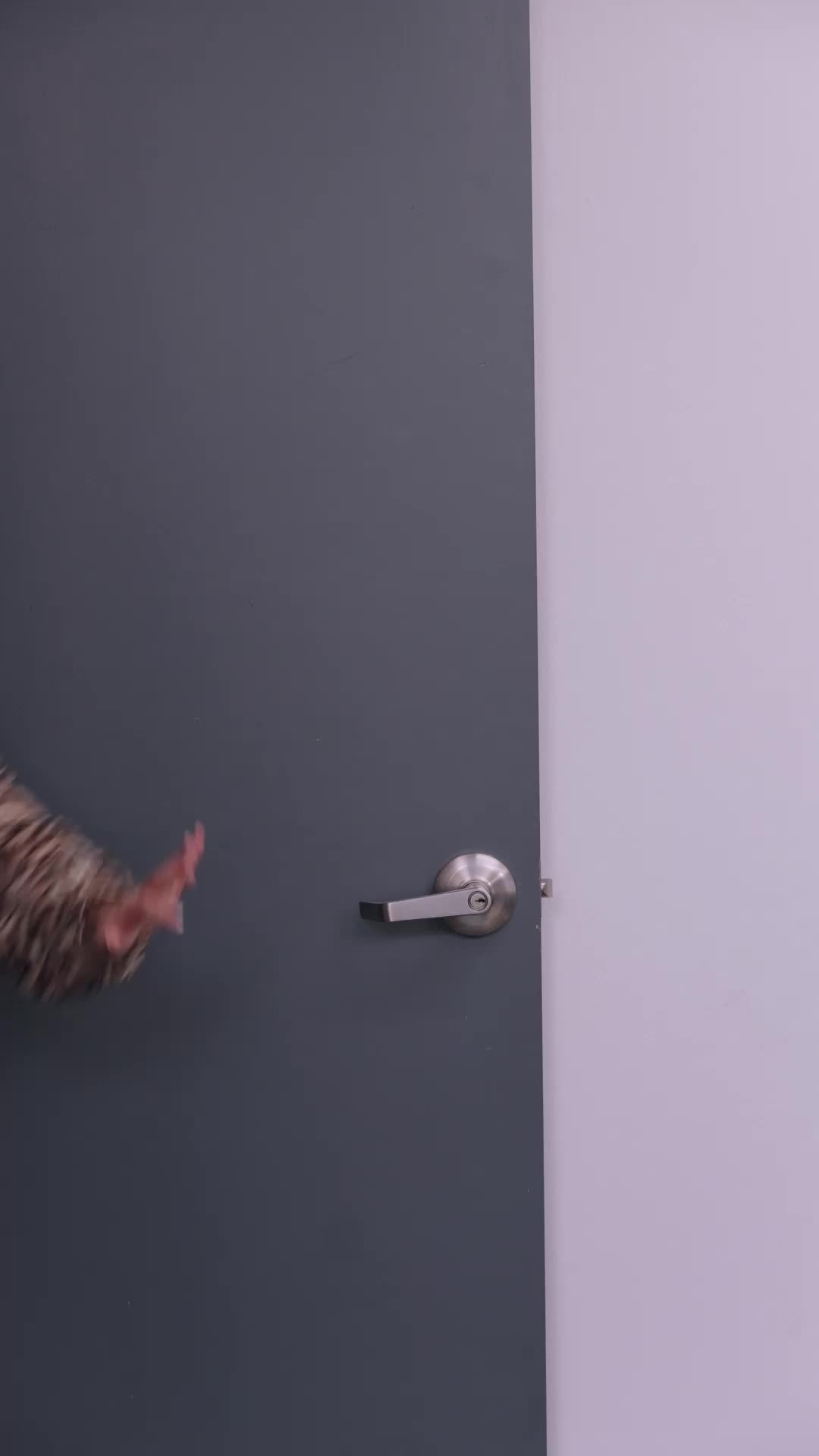 Ep 10