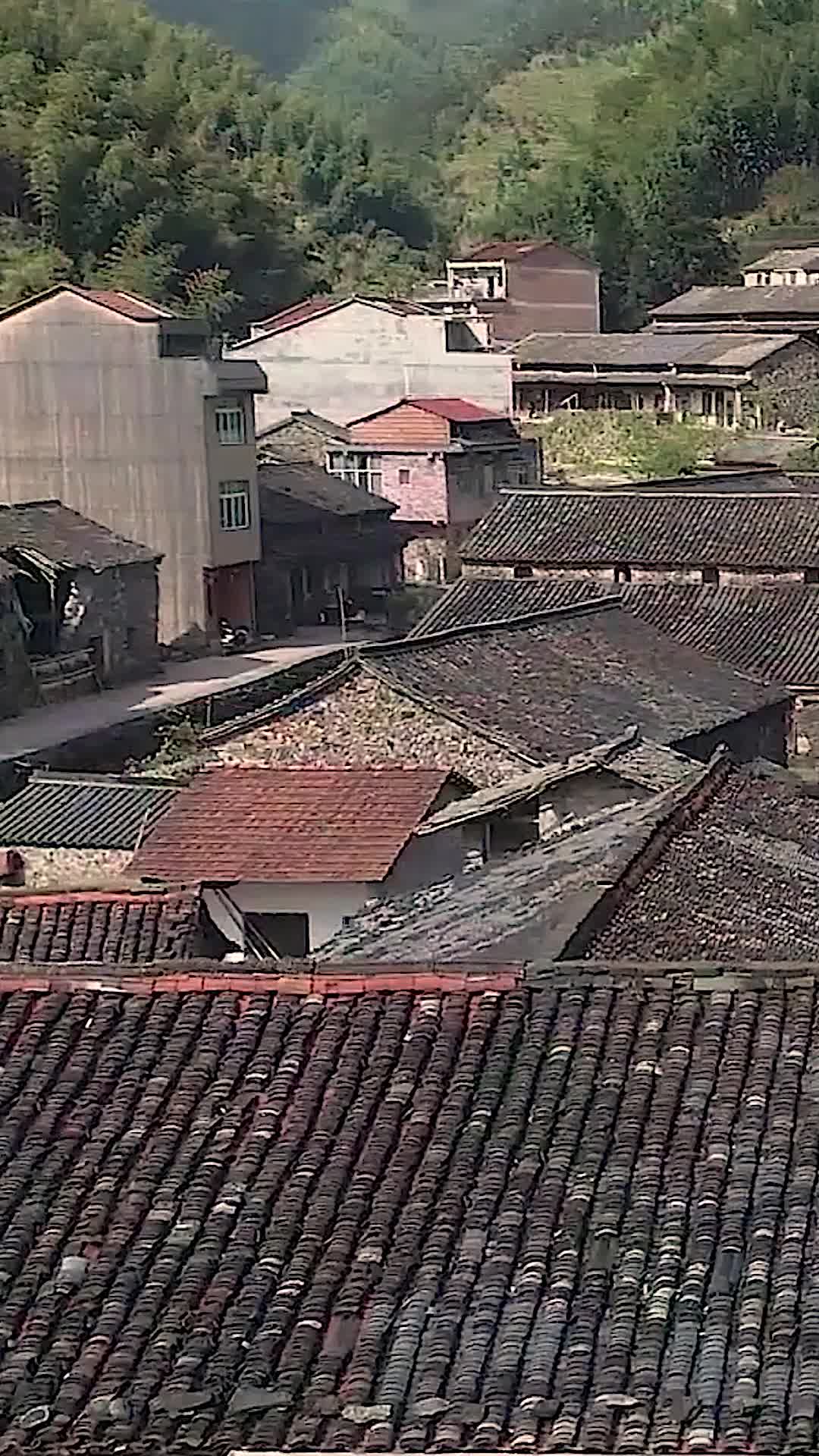 装穷爸妈送养子珍宝 第10集