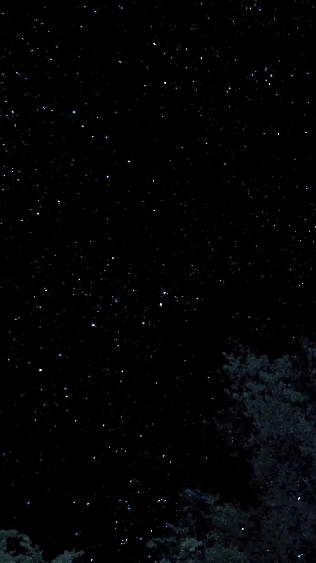 空間在手,小農女受盡千般寵 第9集