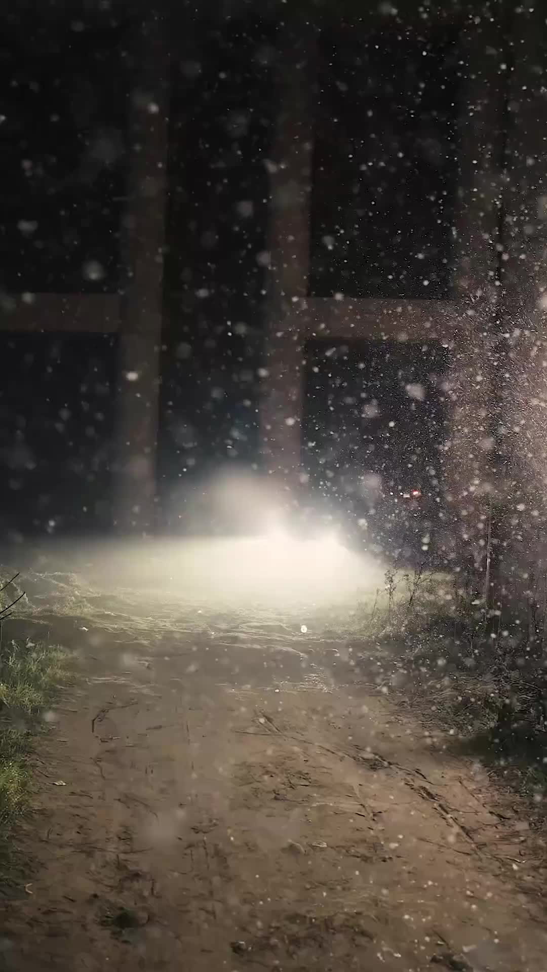 傻柱重生：這一世不伺候了 第1集
