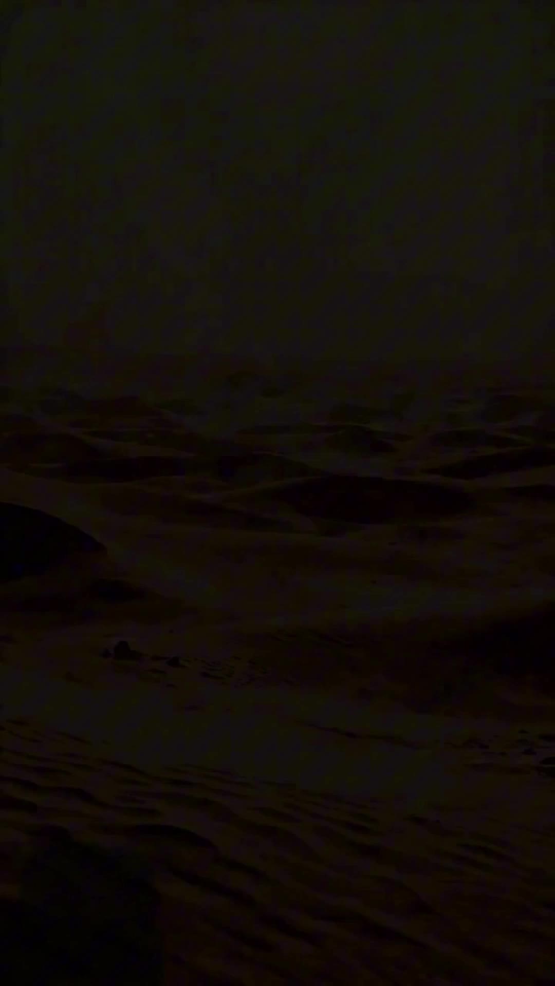 Sand Sea ：frenzied worm Episode 8