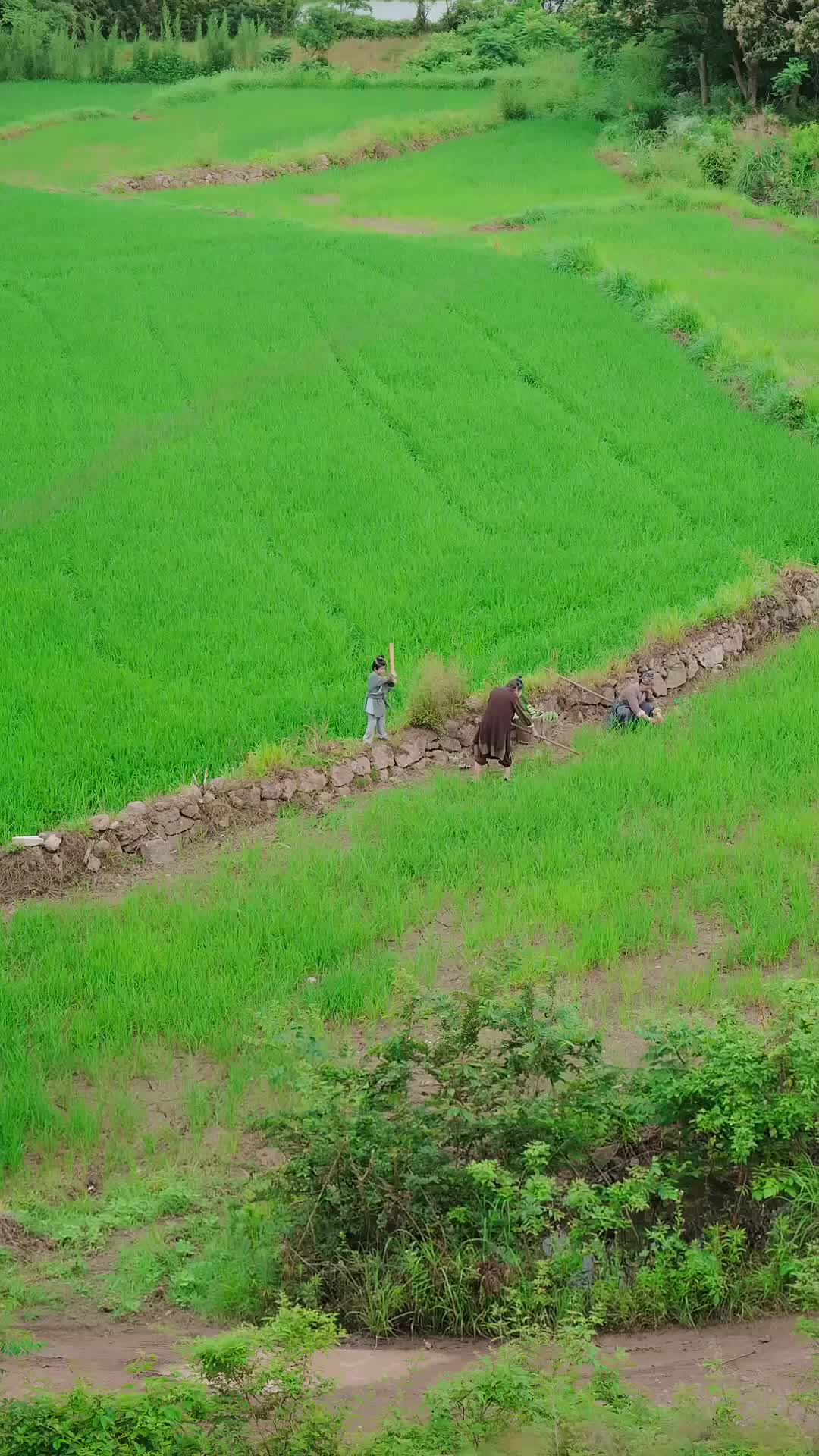 Dewa Pedang - Episode 1 - Episode 1